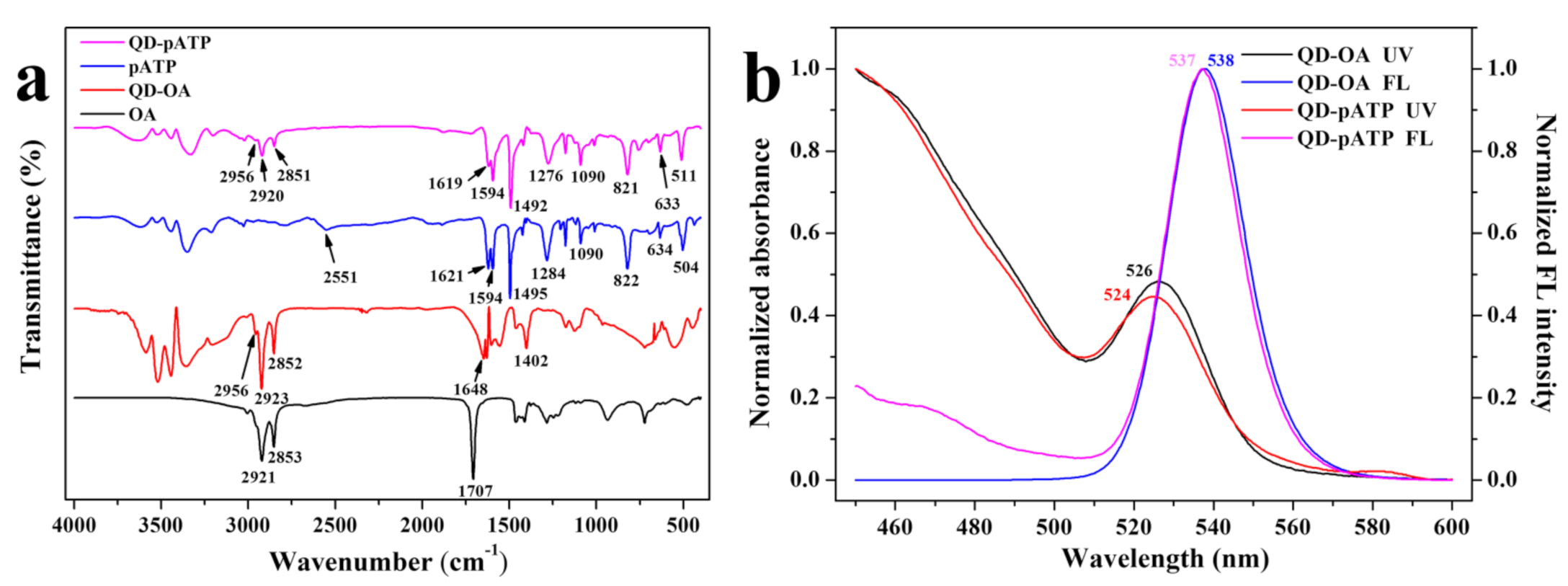 Nanomaterials 11 01726 g004