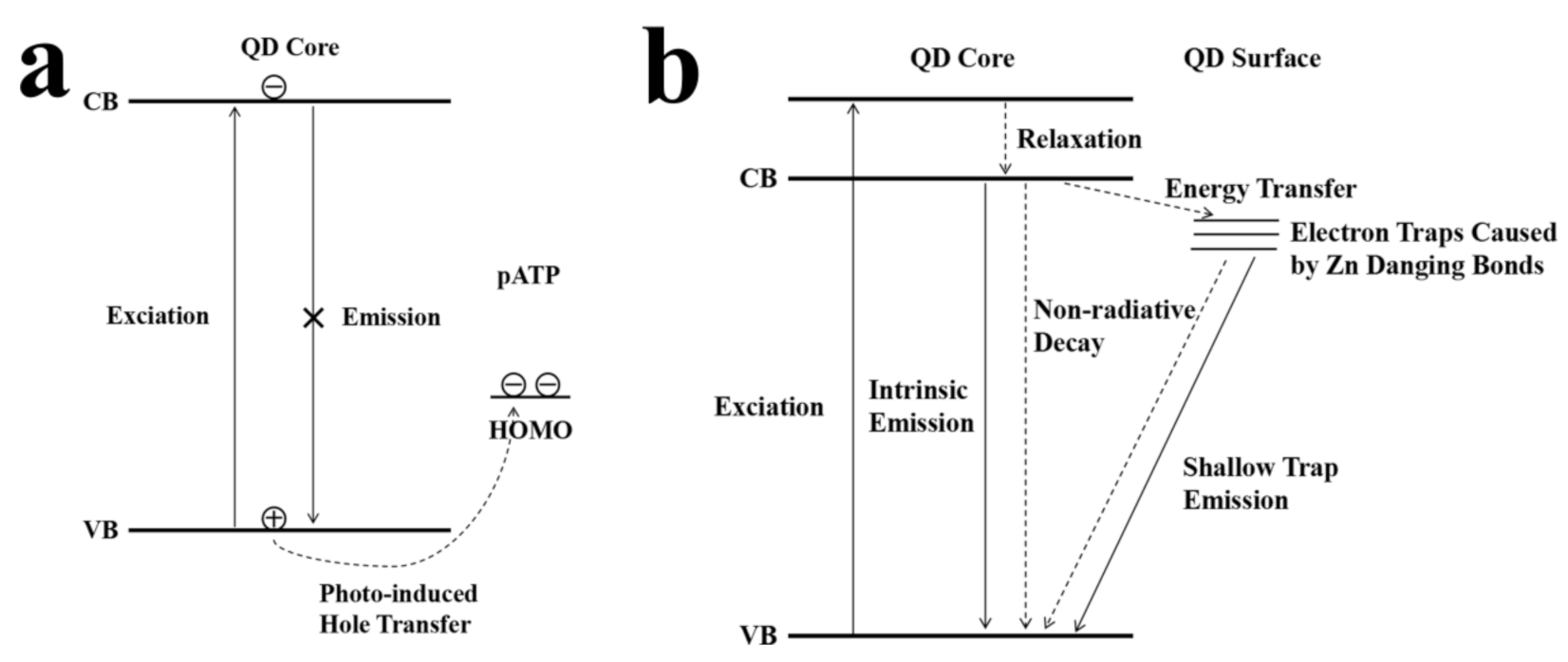Nanomaterials 11 01726 sch002