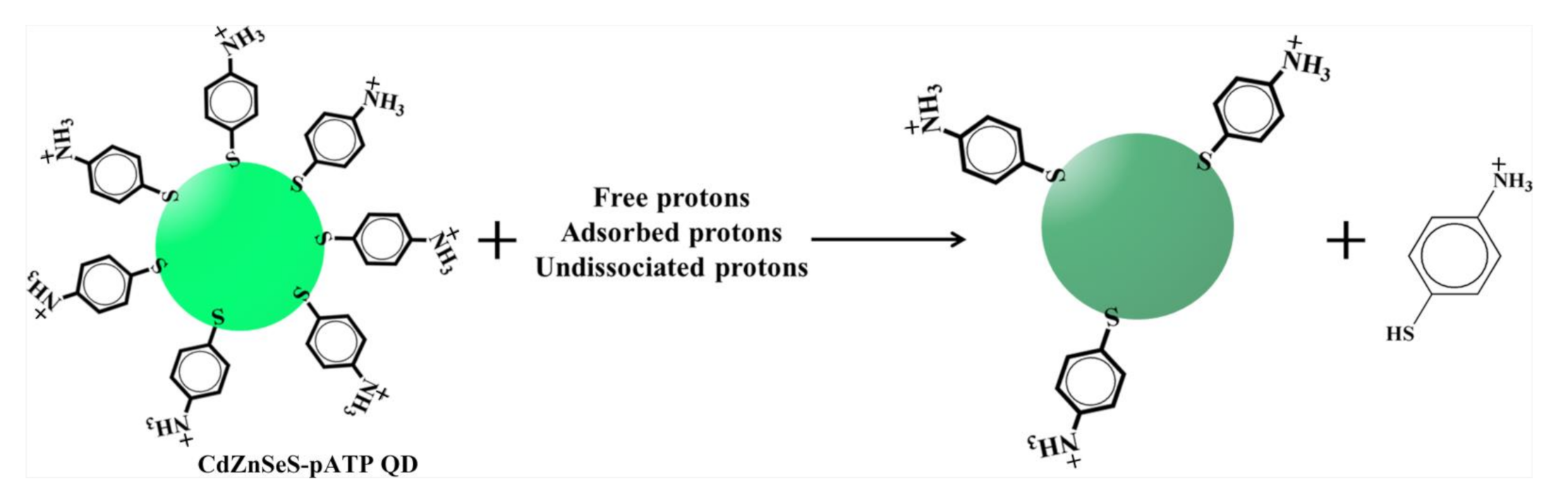 Nanomaterials 11 01726 sch003