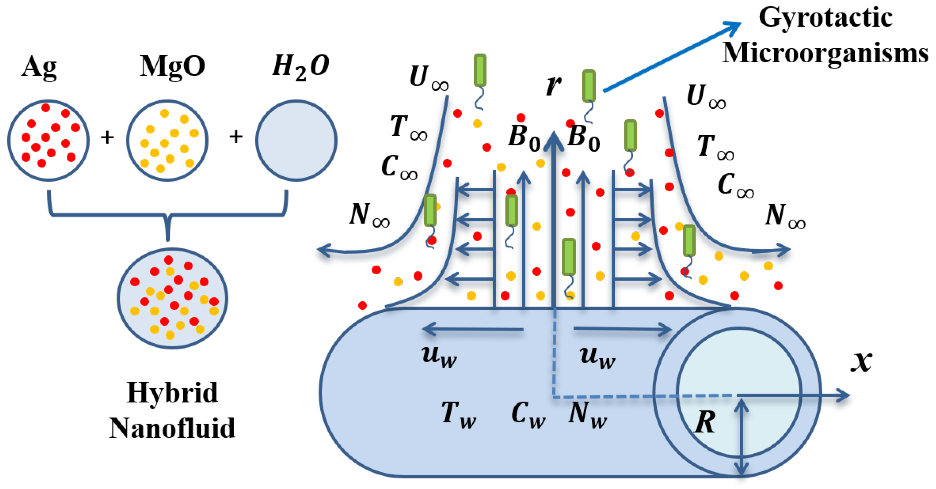 Nanomaterials 11 01735 g001