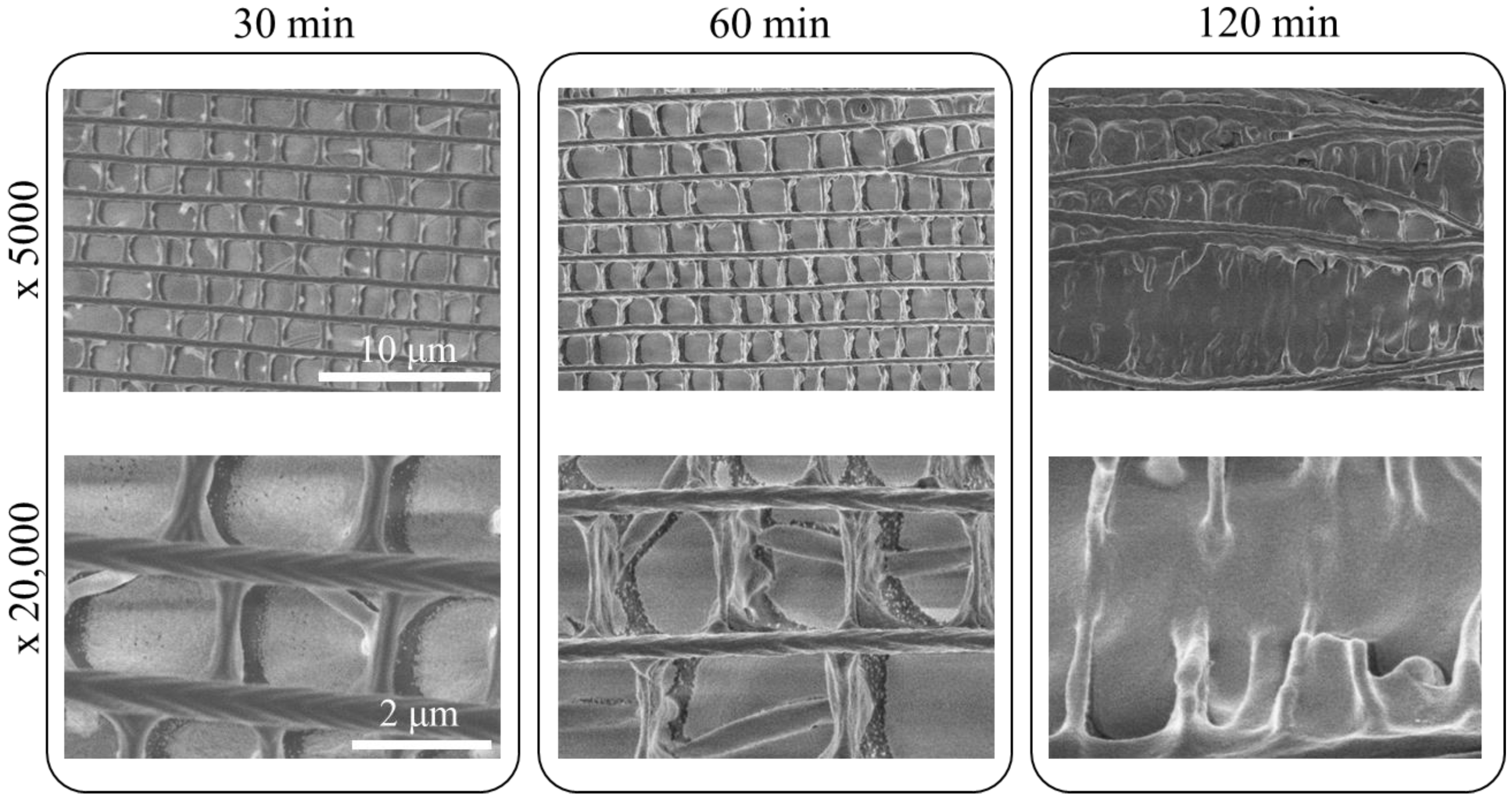 Nanomaterials 11 01741 g006 Nanomaterials 11 01741 g006