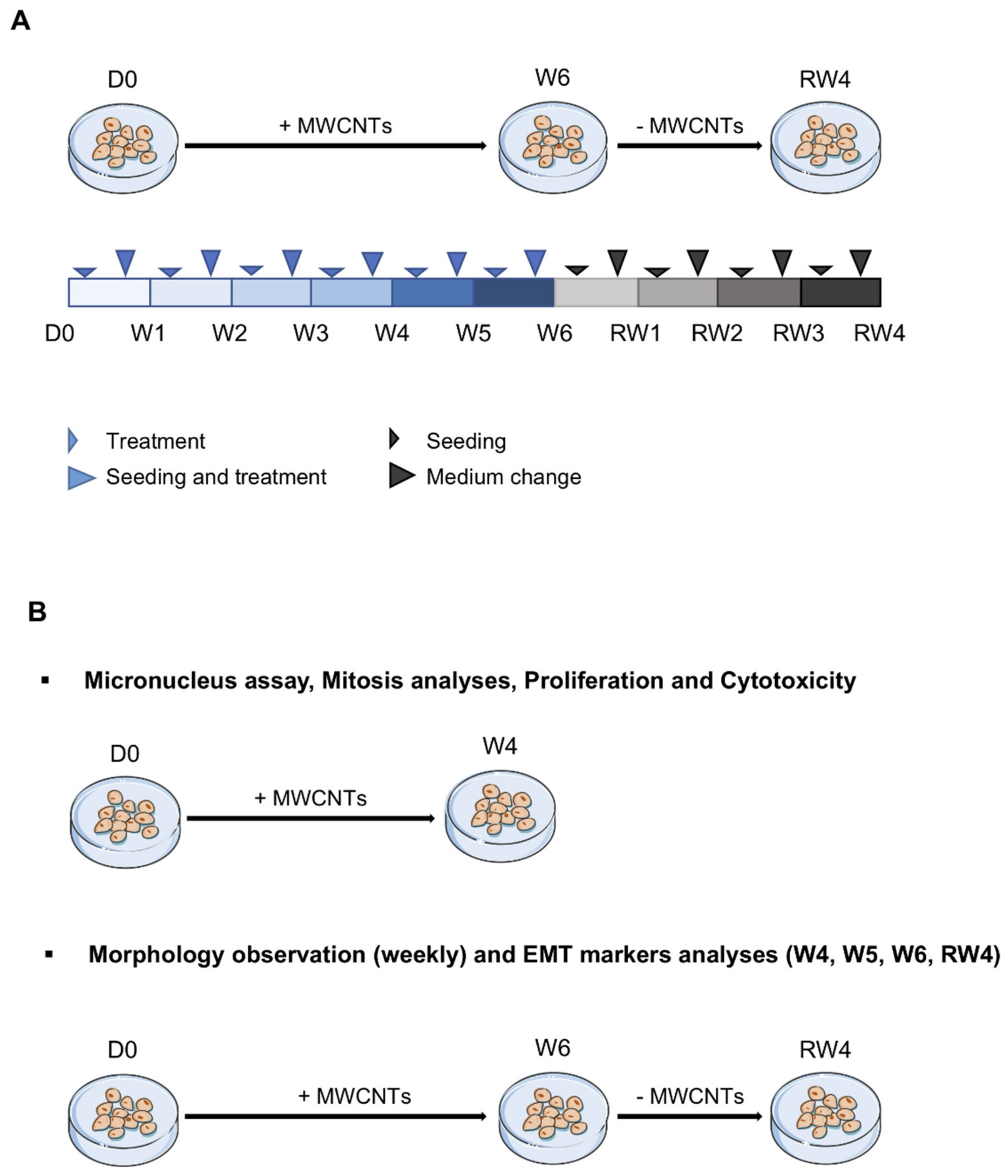 Nanomaterials 11 01742 g001