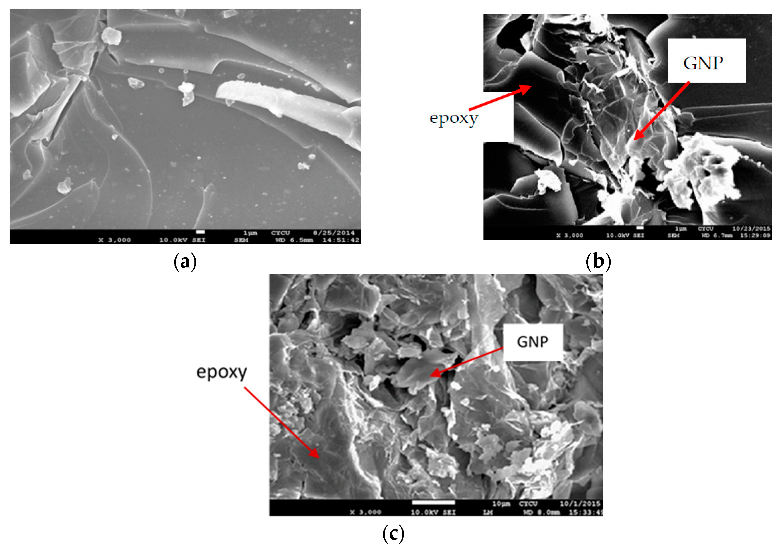 Nanomaterials 11 01743 g003