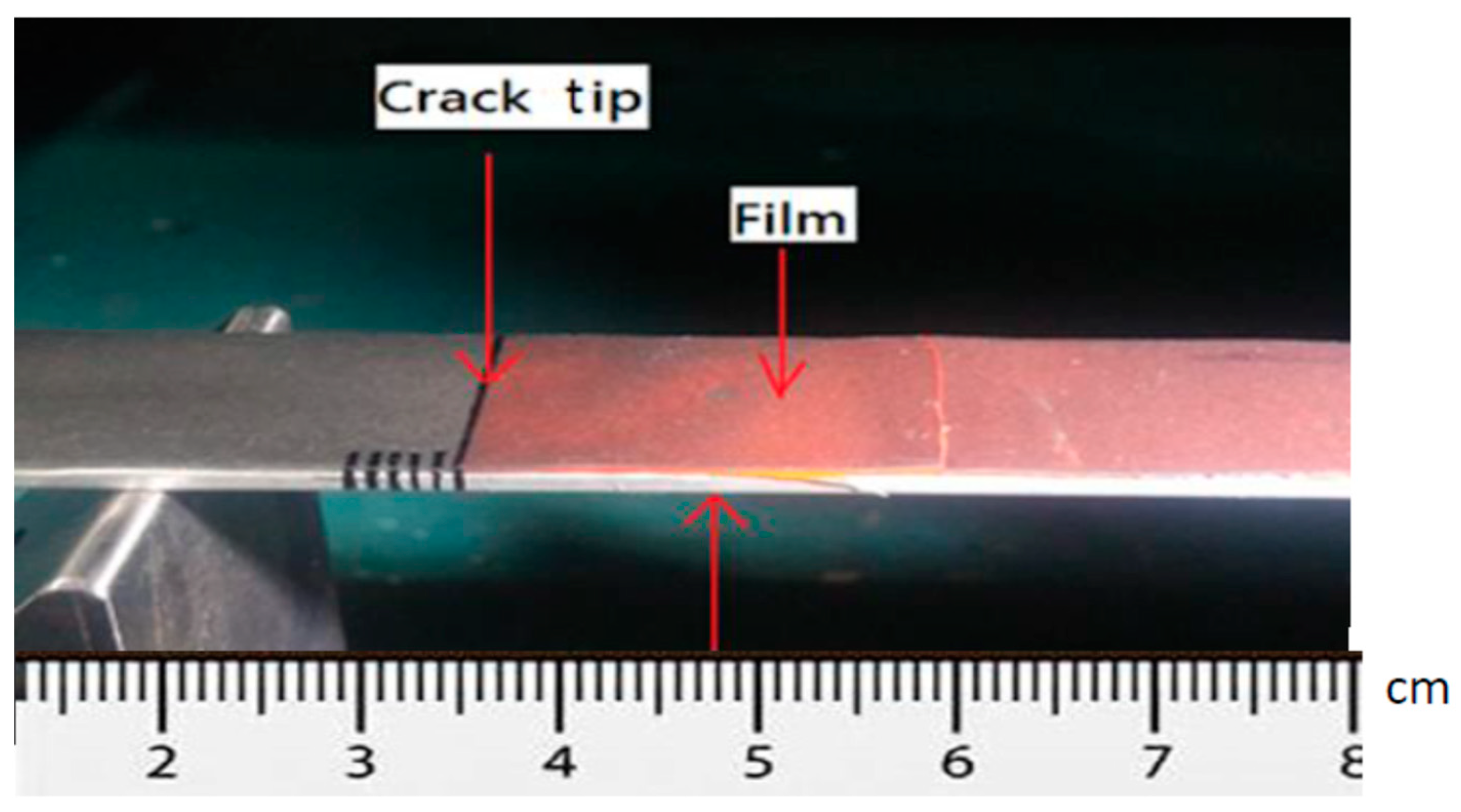 Nanomaterials 11 01743 g011