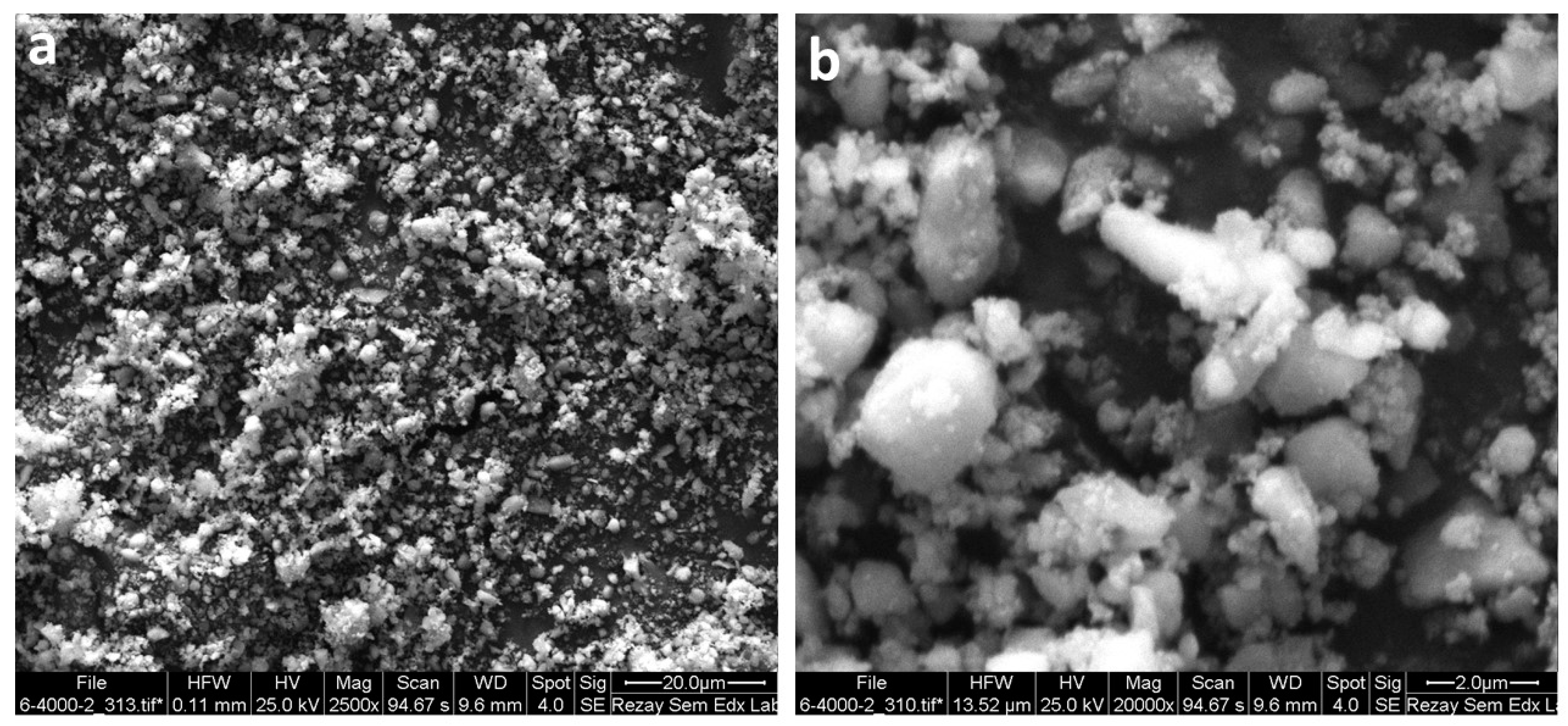 Nanomaterials 11 01759 g005