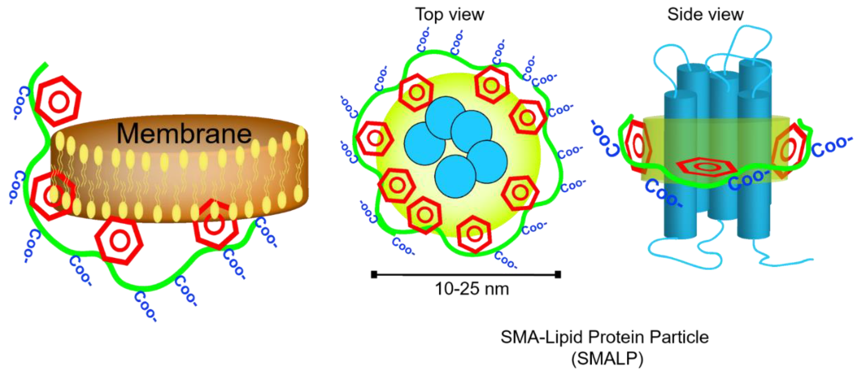 Nanomaterials 11 01771 g005