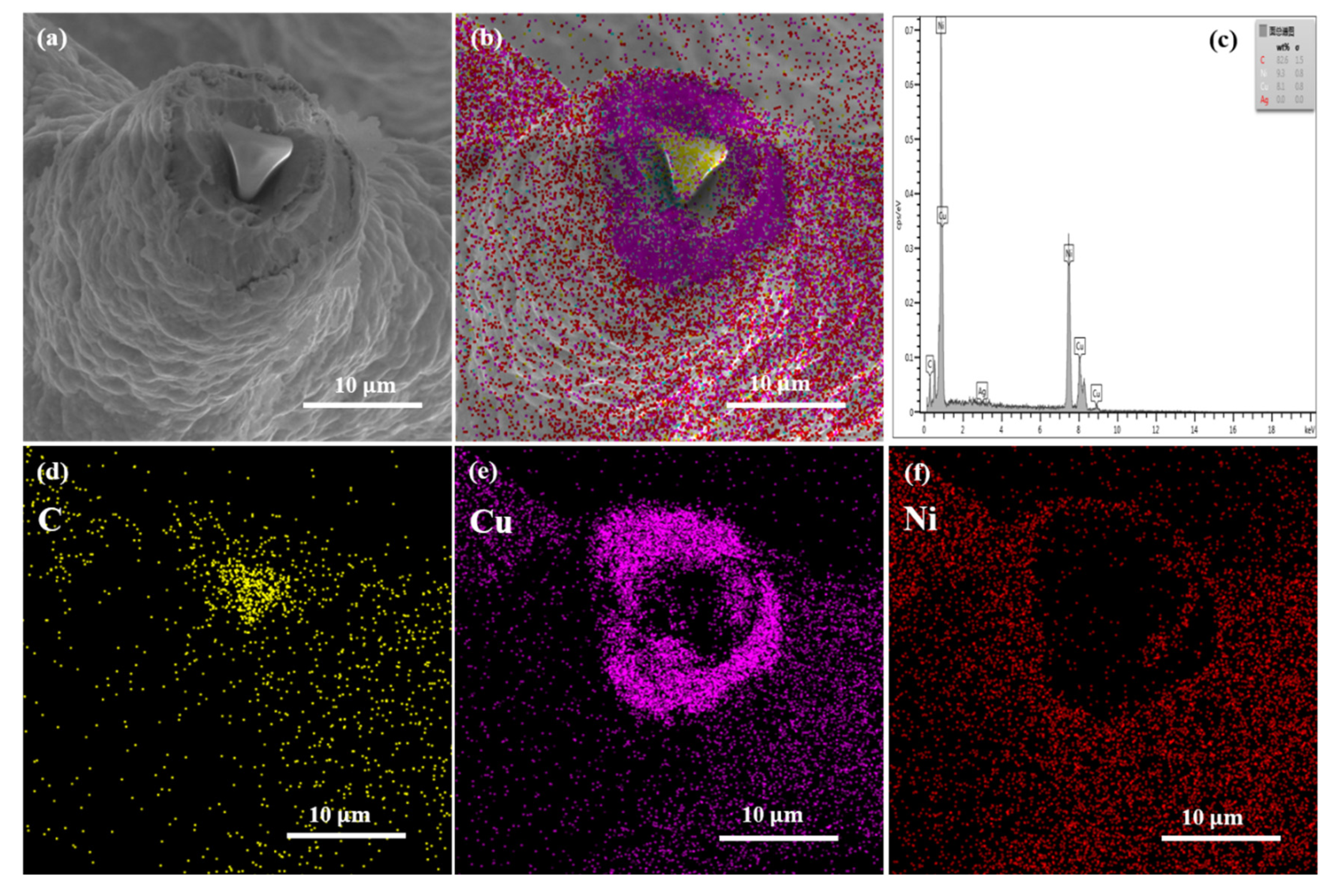 Nanomaterials 11 01772 g003