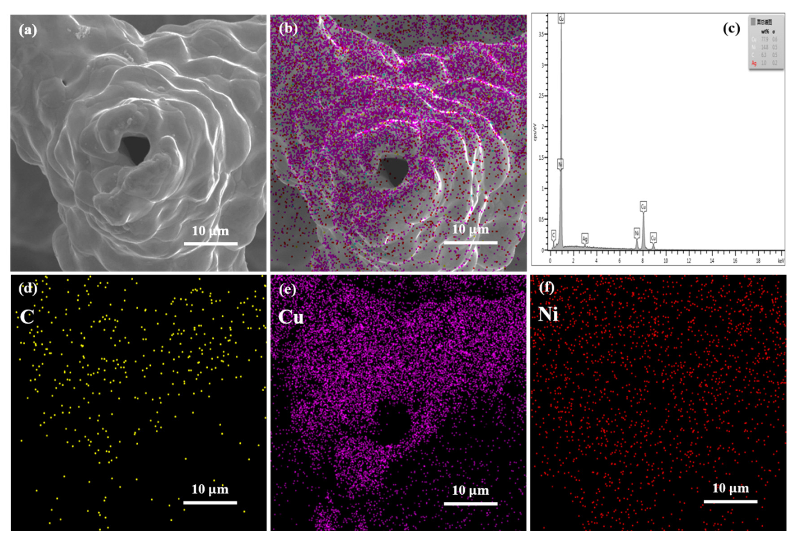 Nanomaterials 11 01772 g004