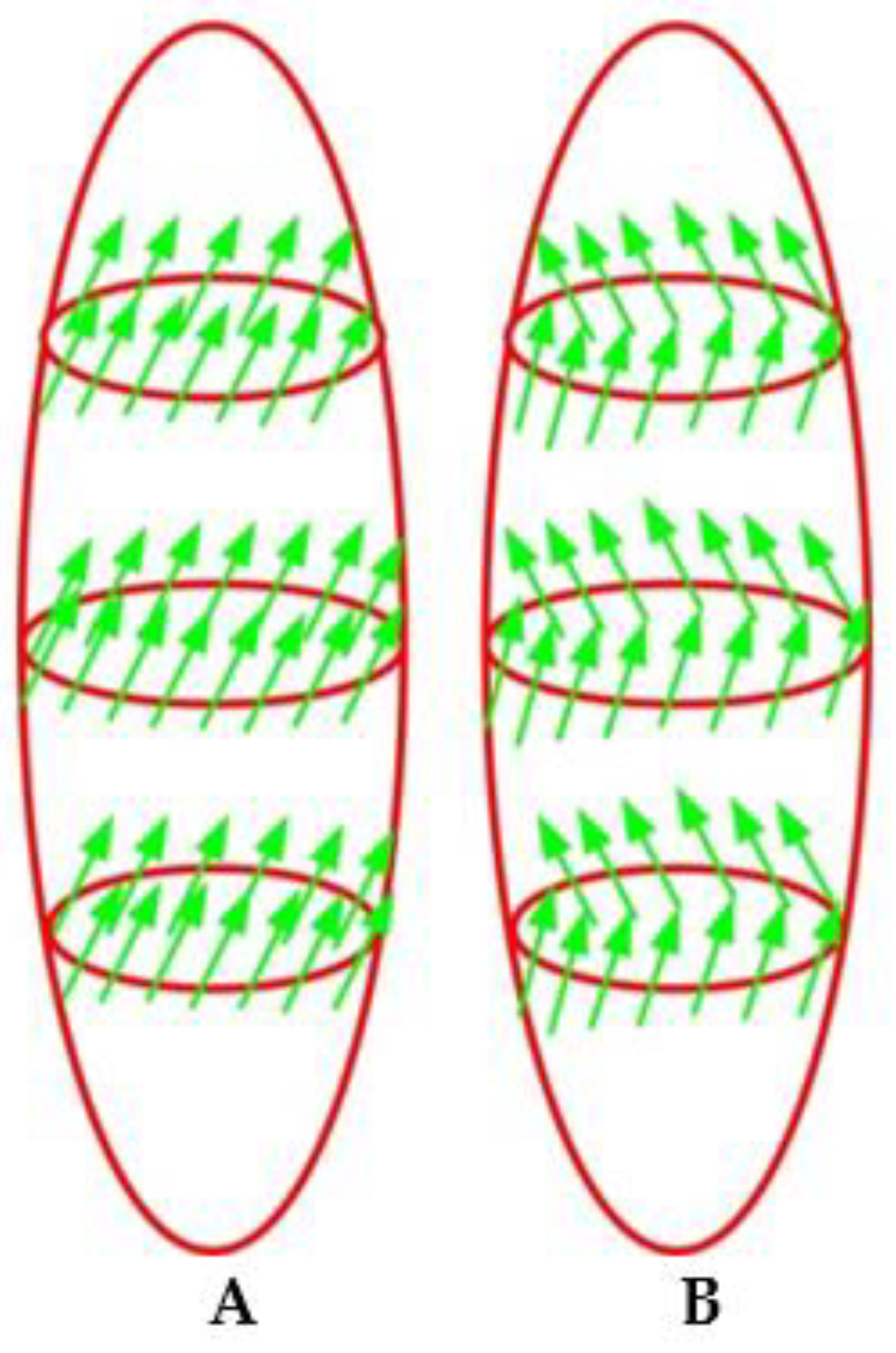 Nanomaterials 11 01775 g009 Nanomaterials 11 01775 g009