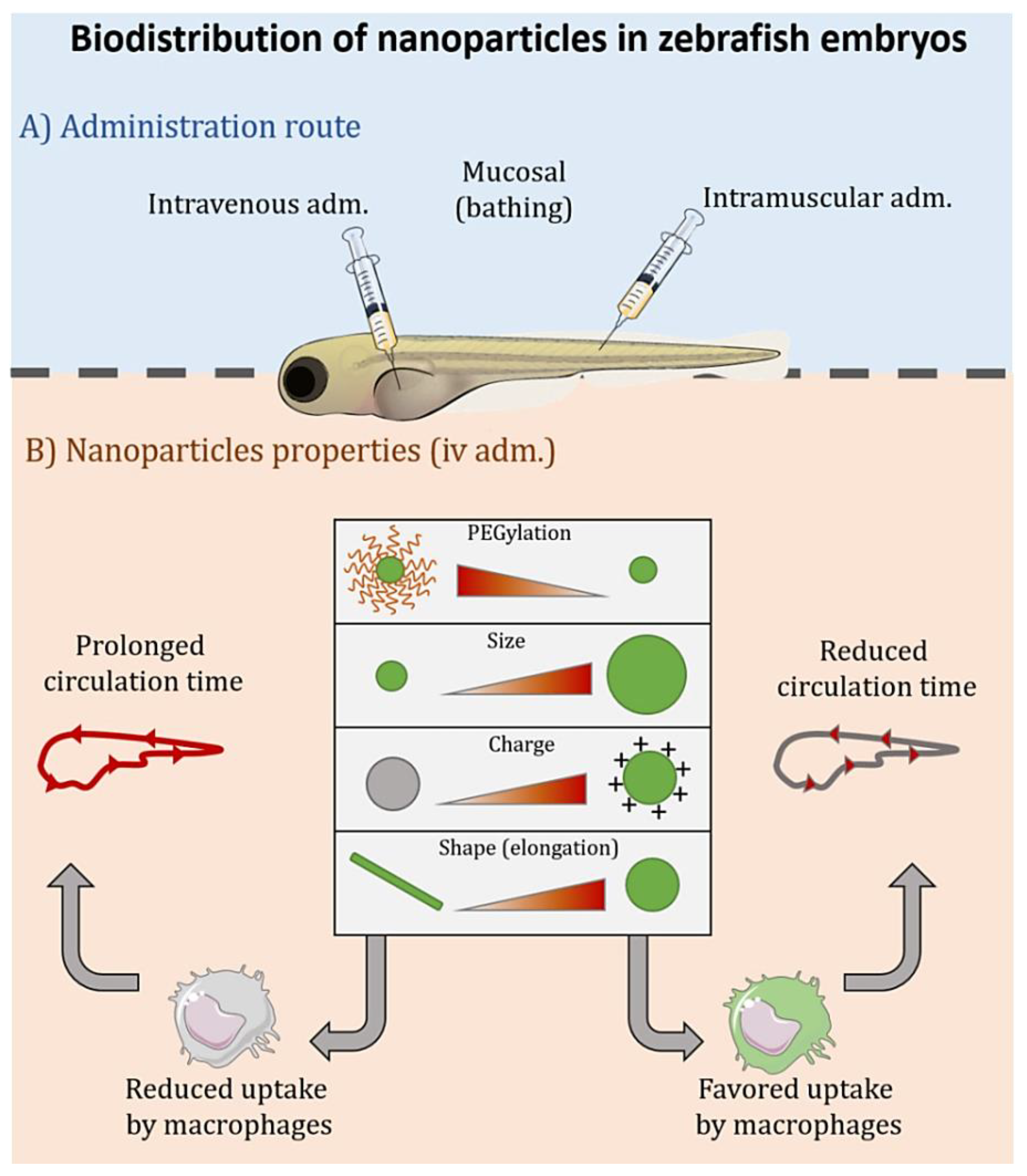 Nanomaterials 11 01784 g002 Nanomaterials 11 01784 g002