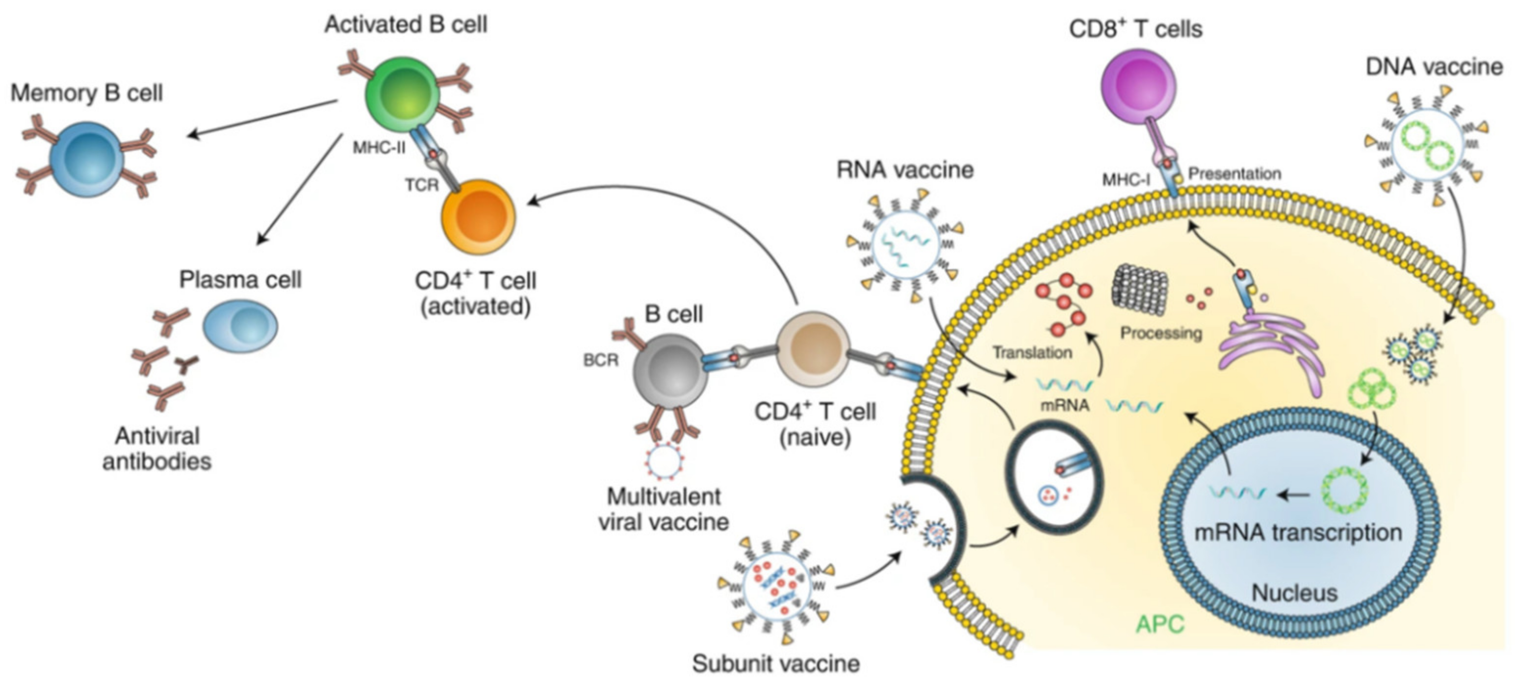Nanomaterials 11 01788 g002