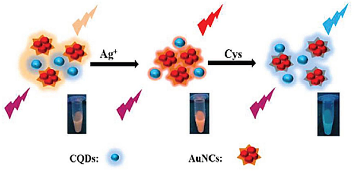 Nanomaterials 11 01792 g004