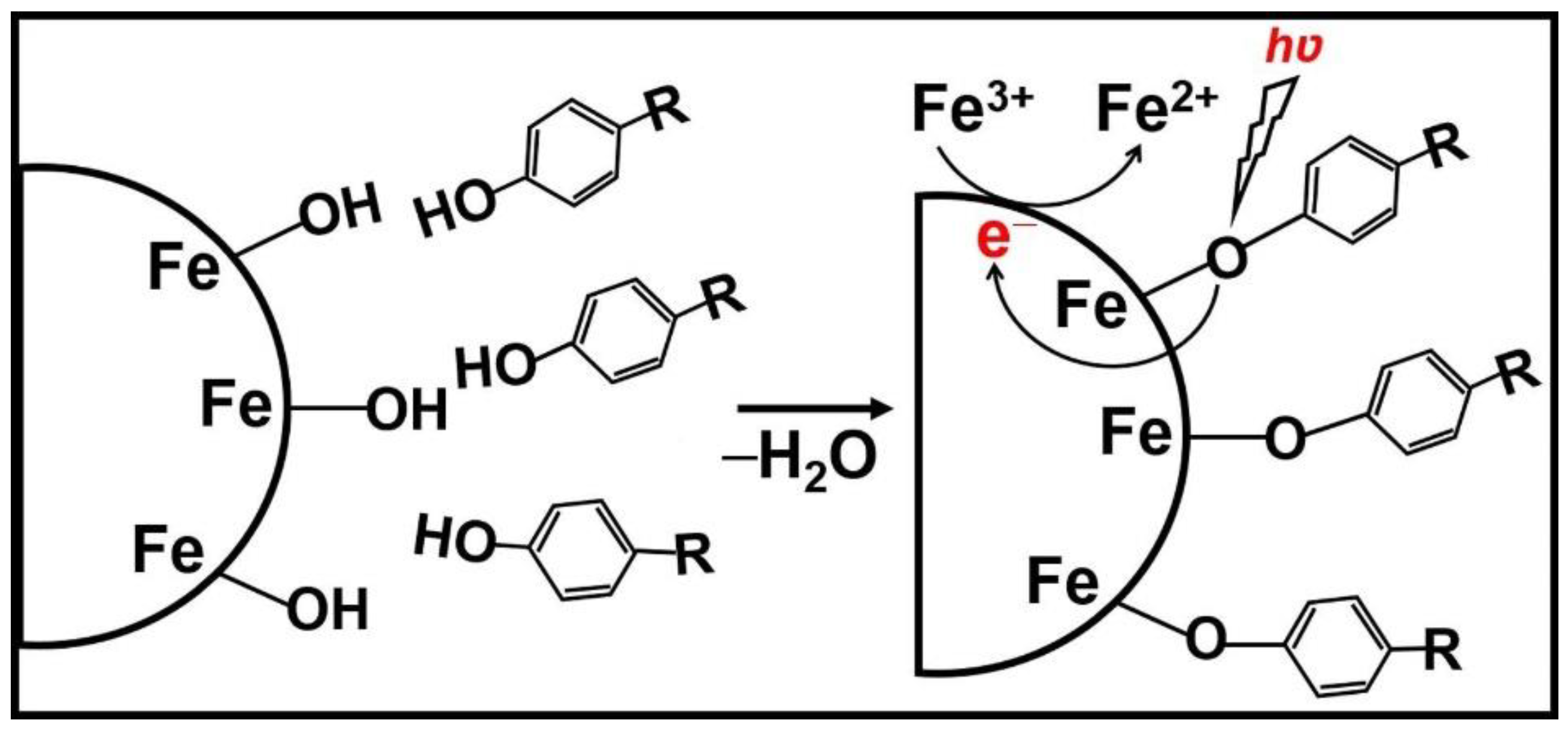 Nanomaterials 11 01804 g003