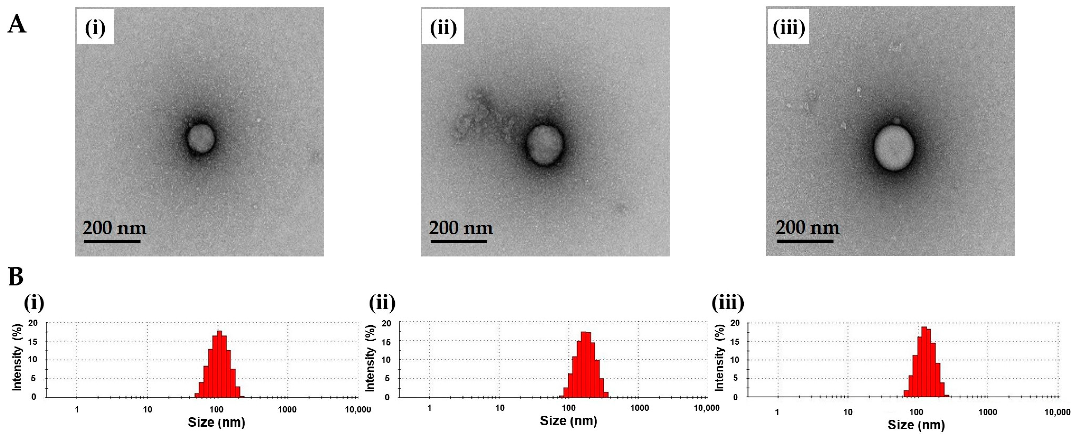Nanomaterials 11 01812 g001