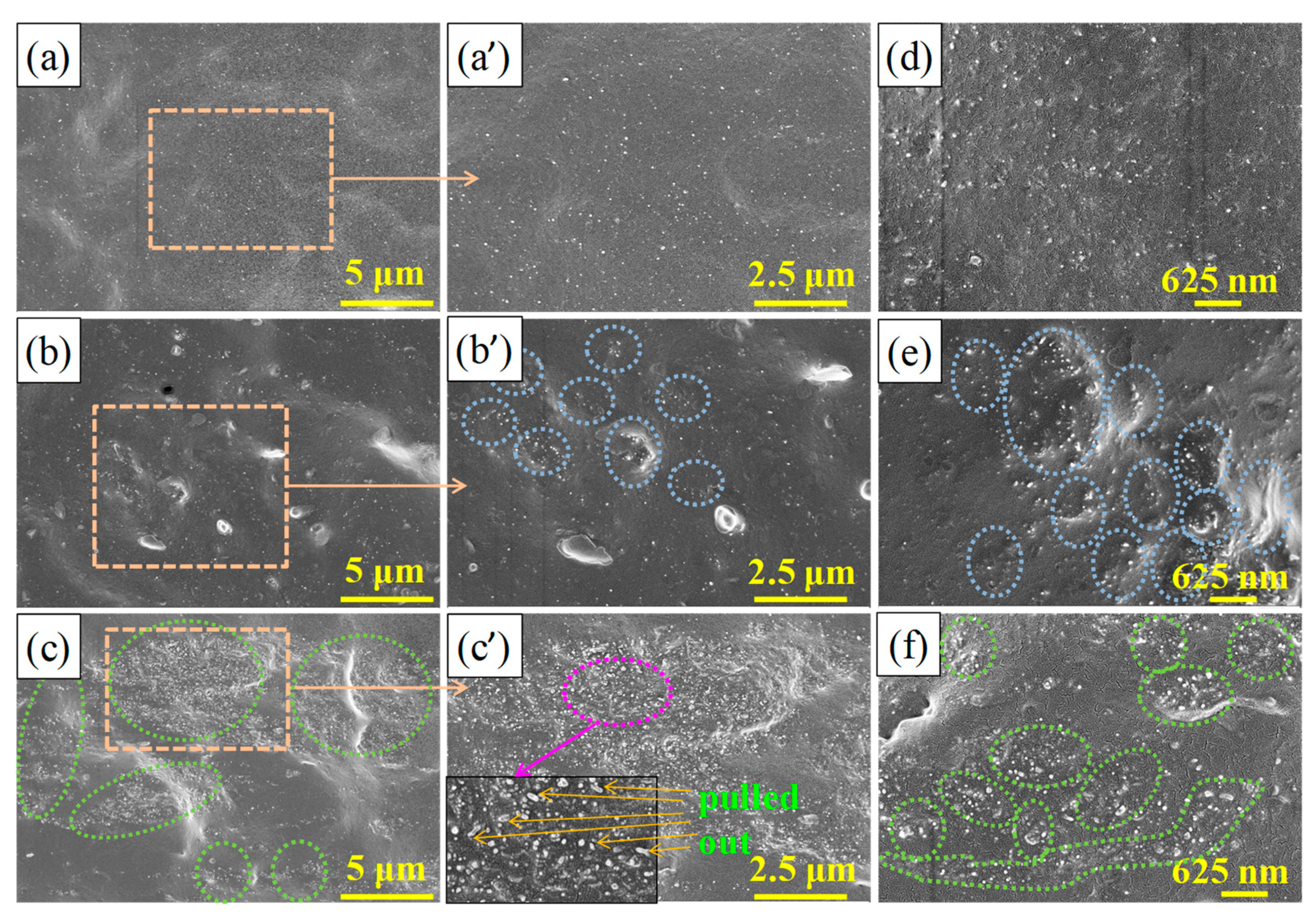 Nanomaterials 11 01845 g002