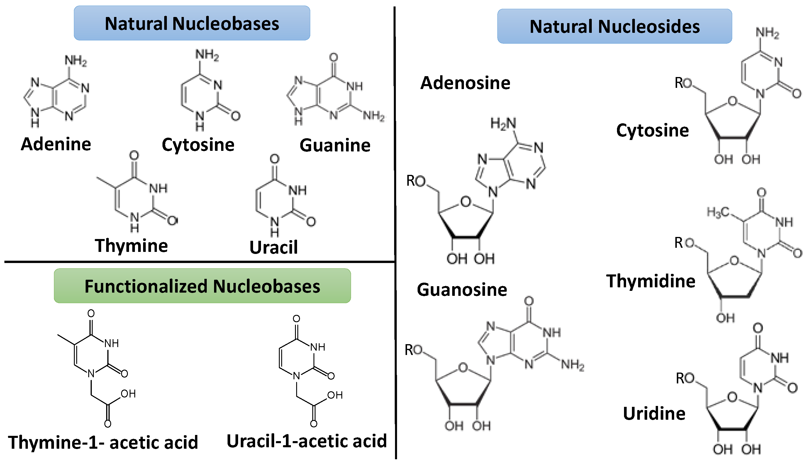Nanomaterials 11 01865 g001