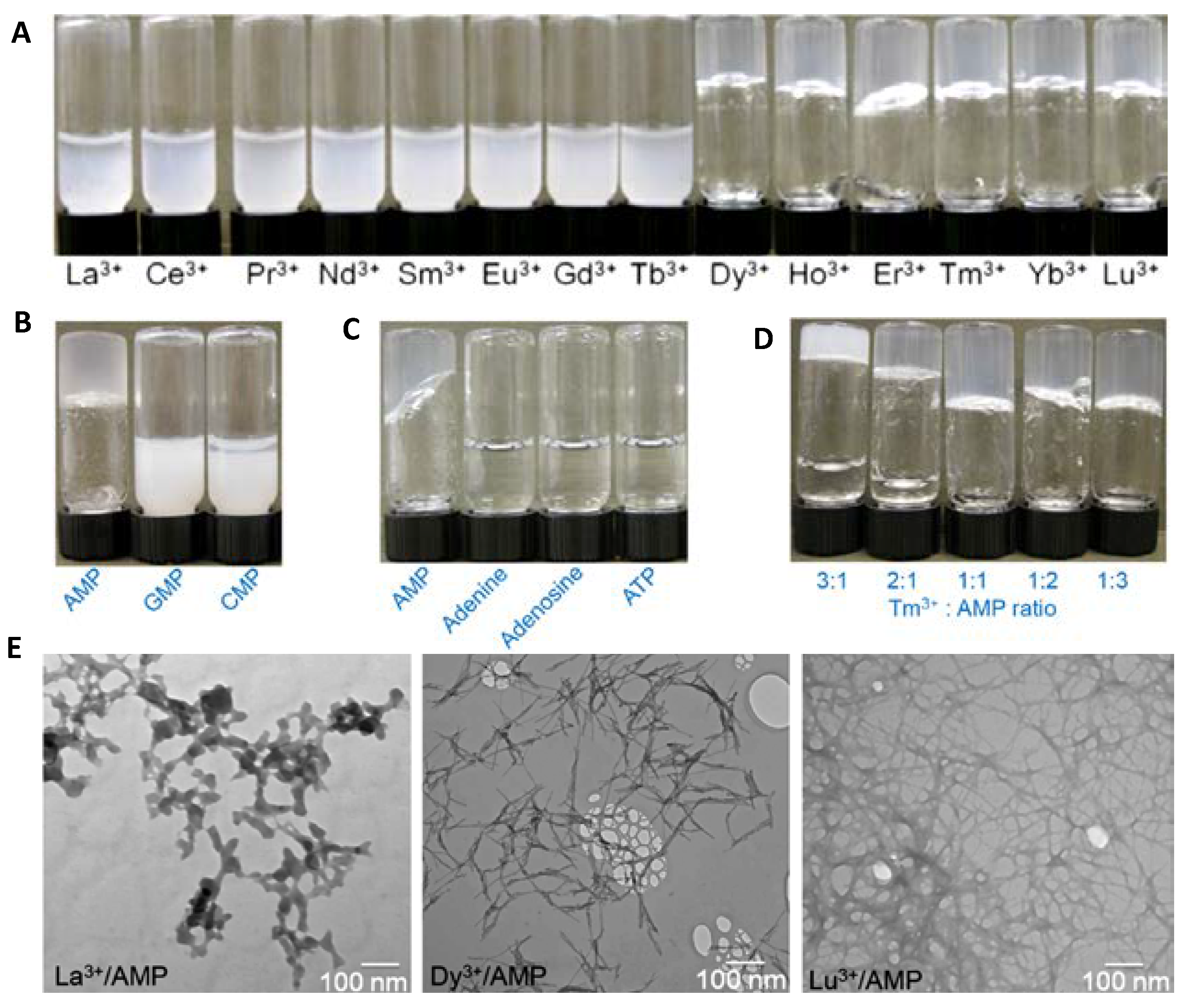 Nanomaterials 11 01865 g002