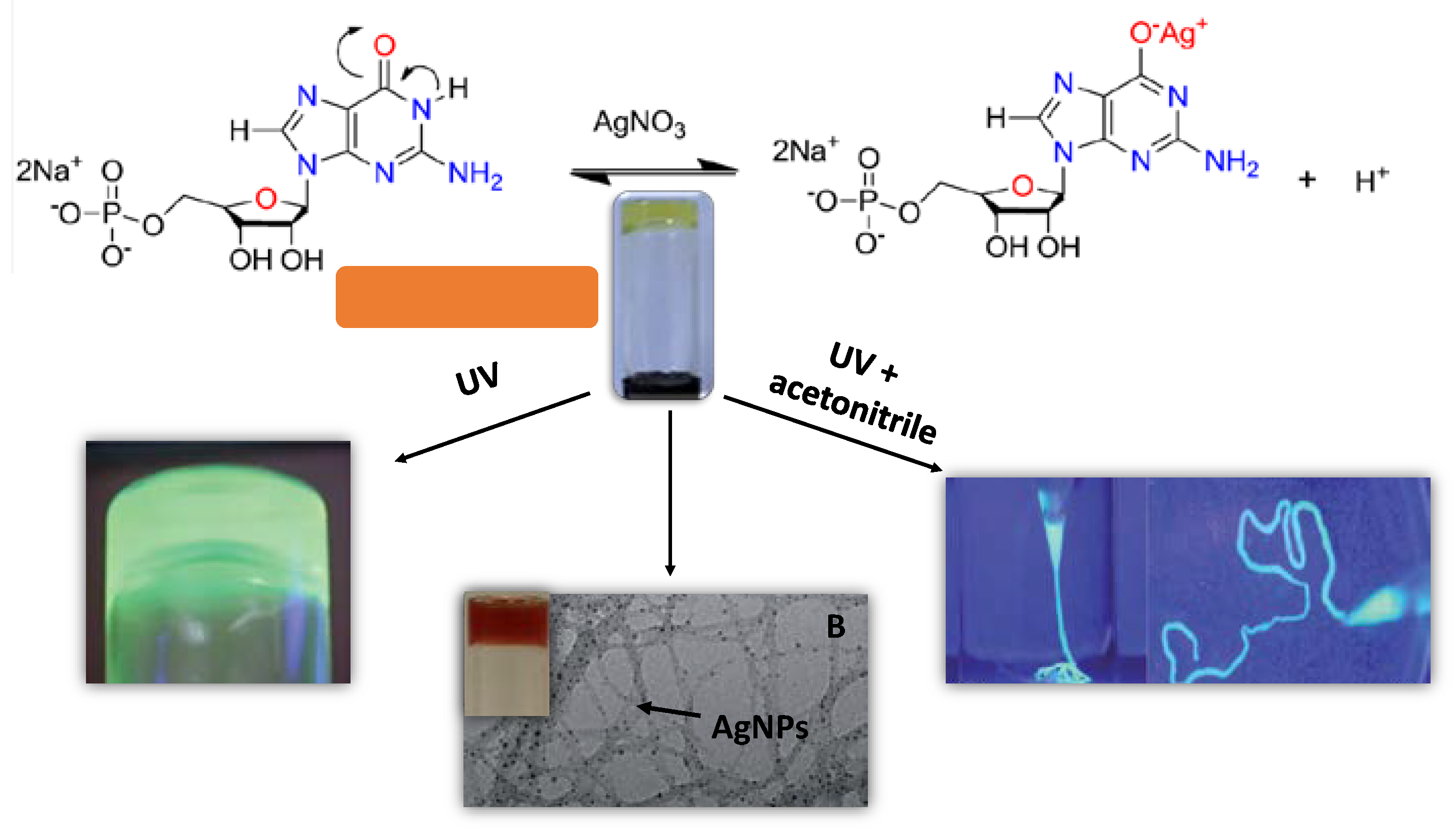 Nanomaterials 11 01865 g005