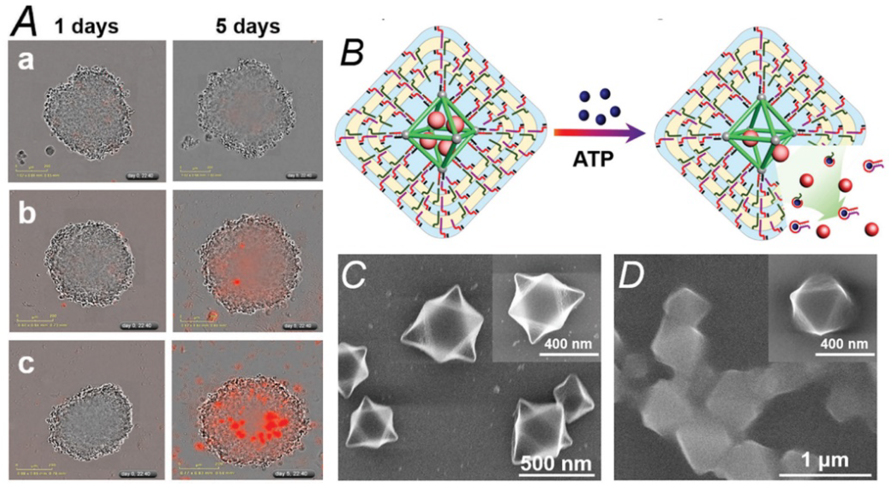 Nanomaterials 11 01865 g011