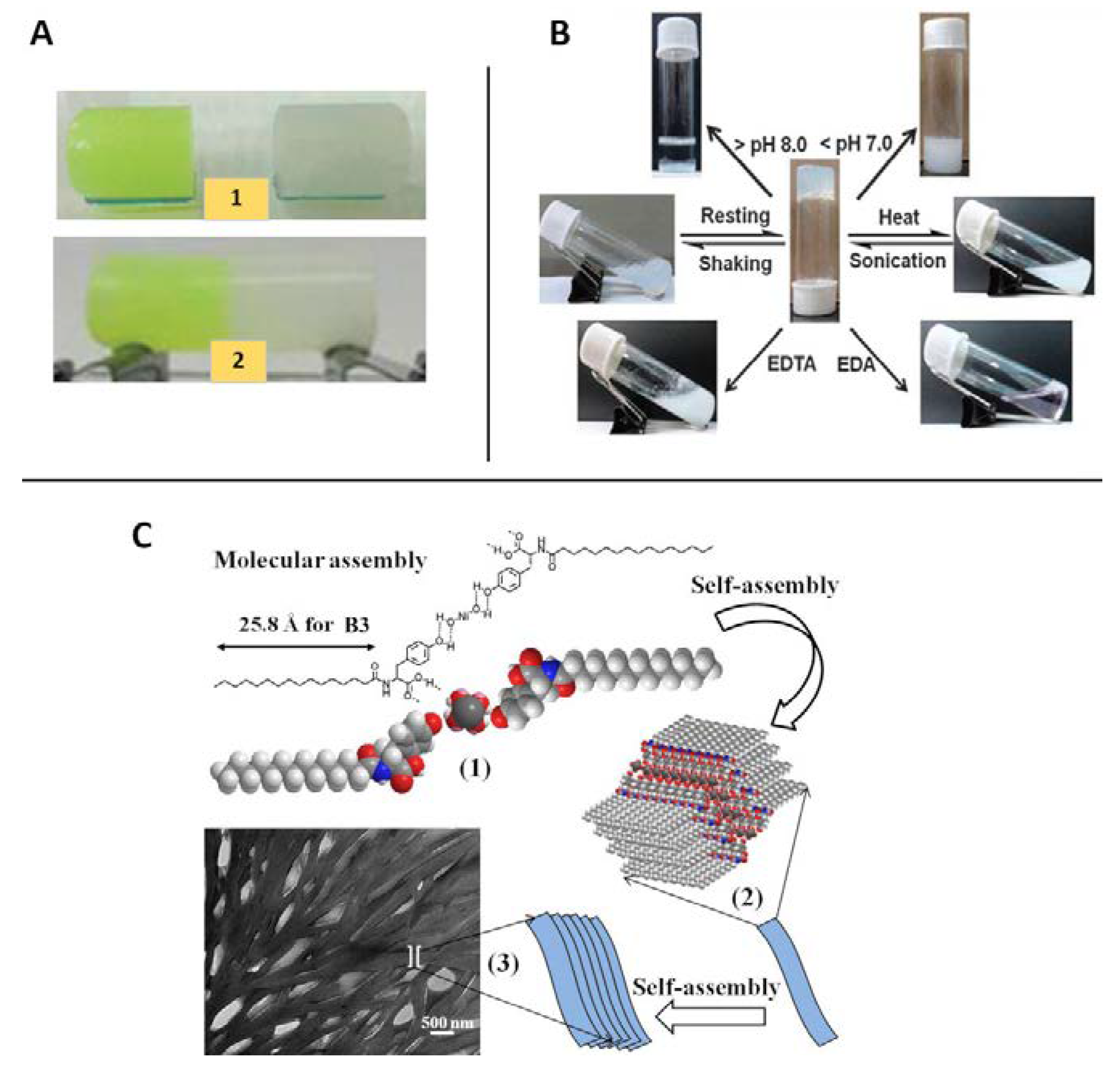 Nanomaterials 11 01865 g014