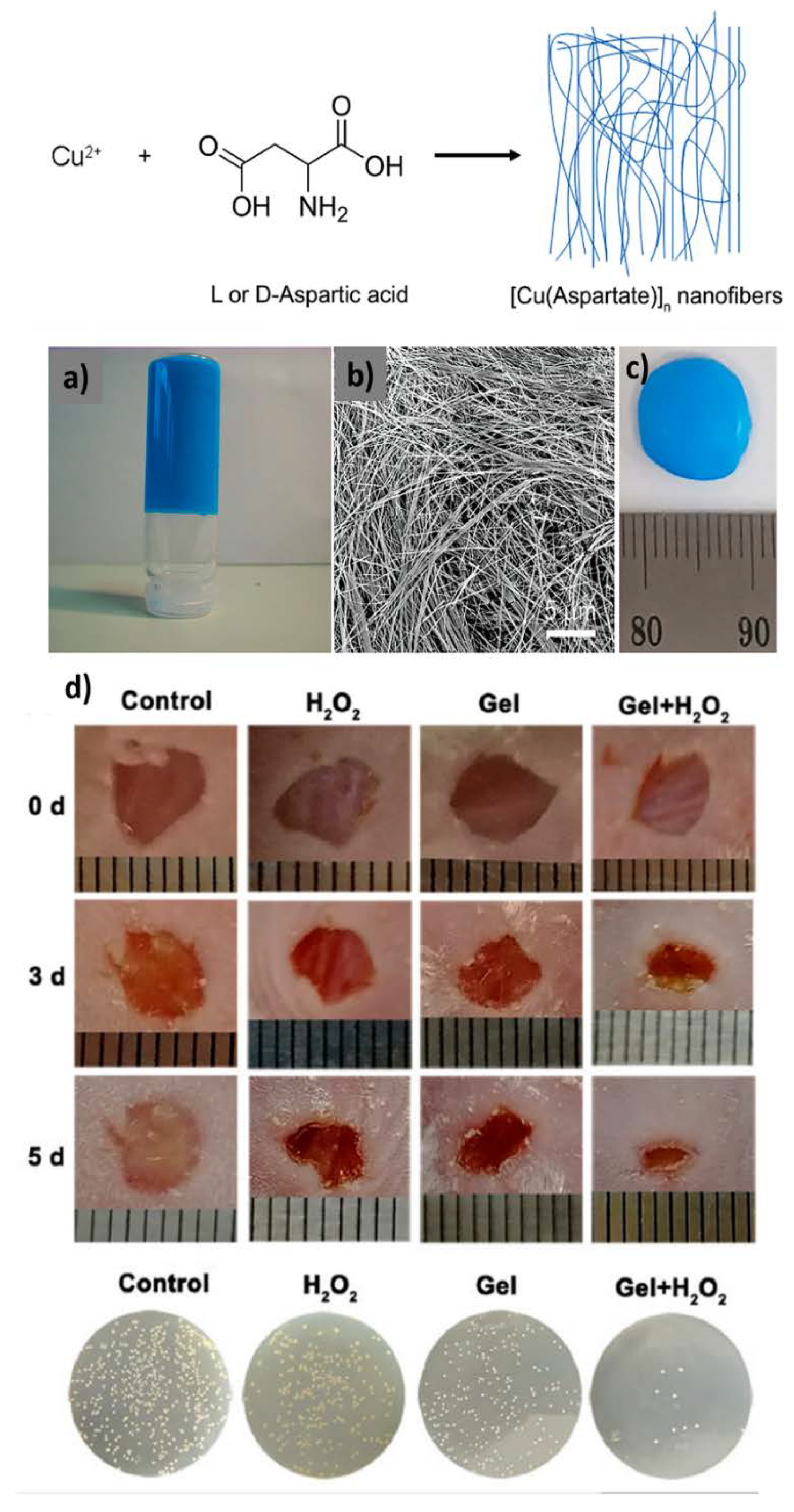 Nanomaterials 11 01865 g024