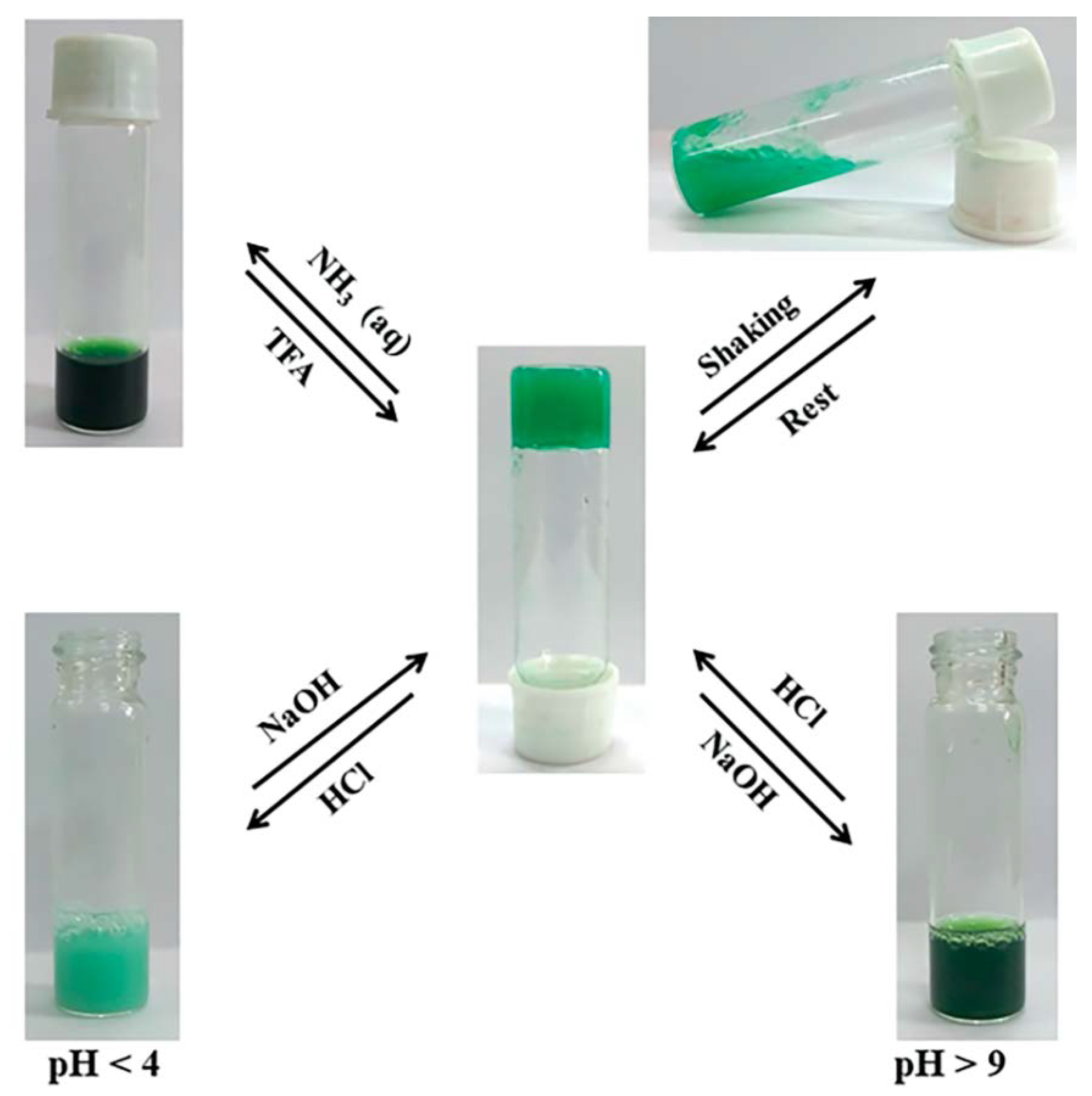Nanomaterials 11 01865 g025