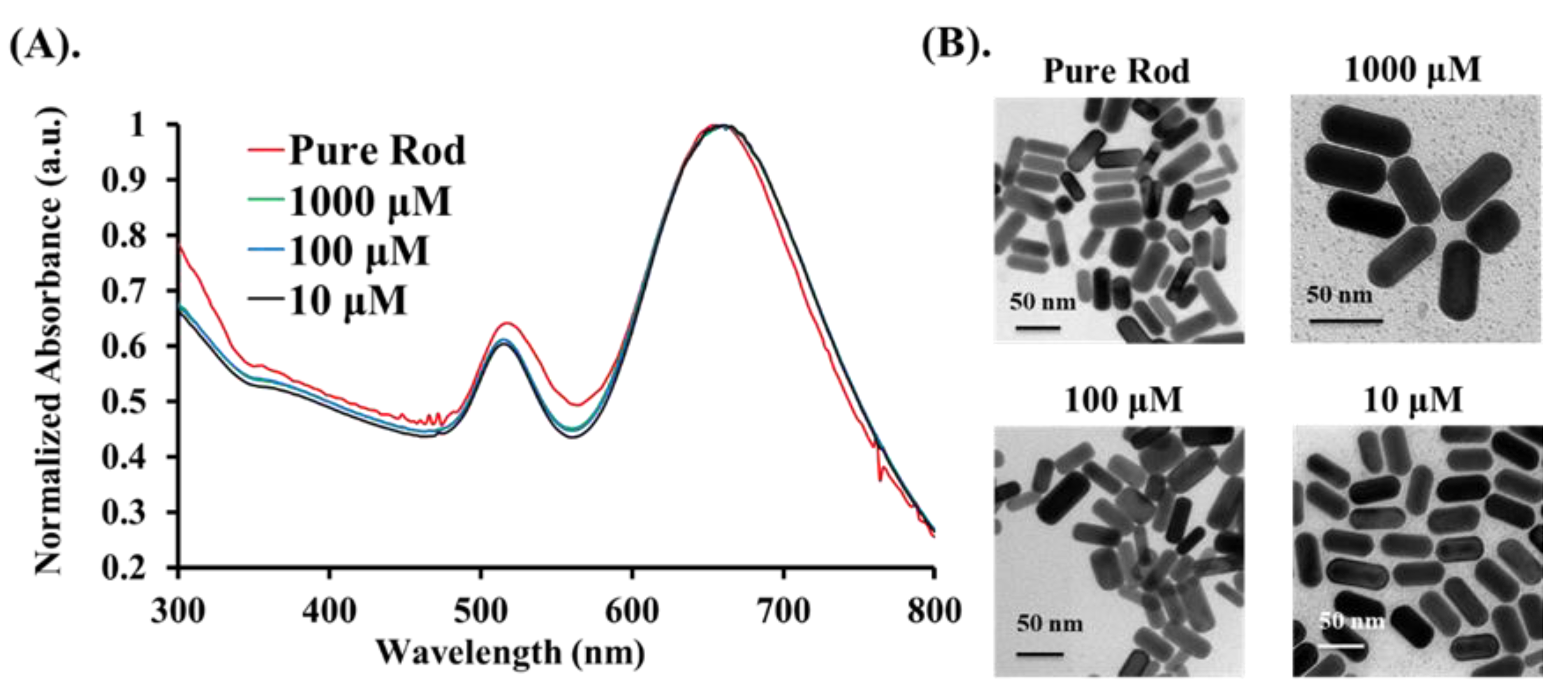 Nanomaterials 11 01887 g002