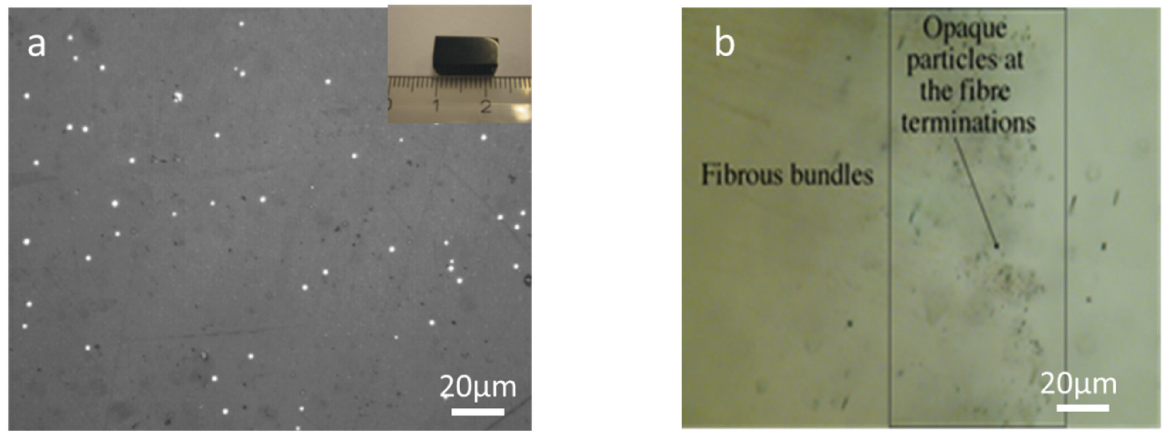 Nanomaterials 11 01896 g002