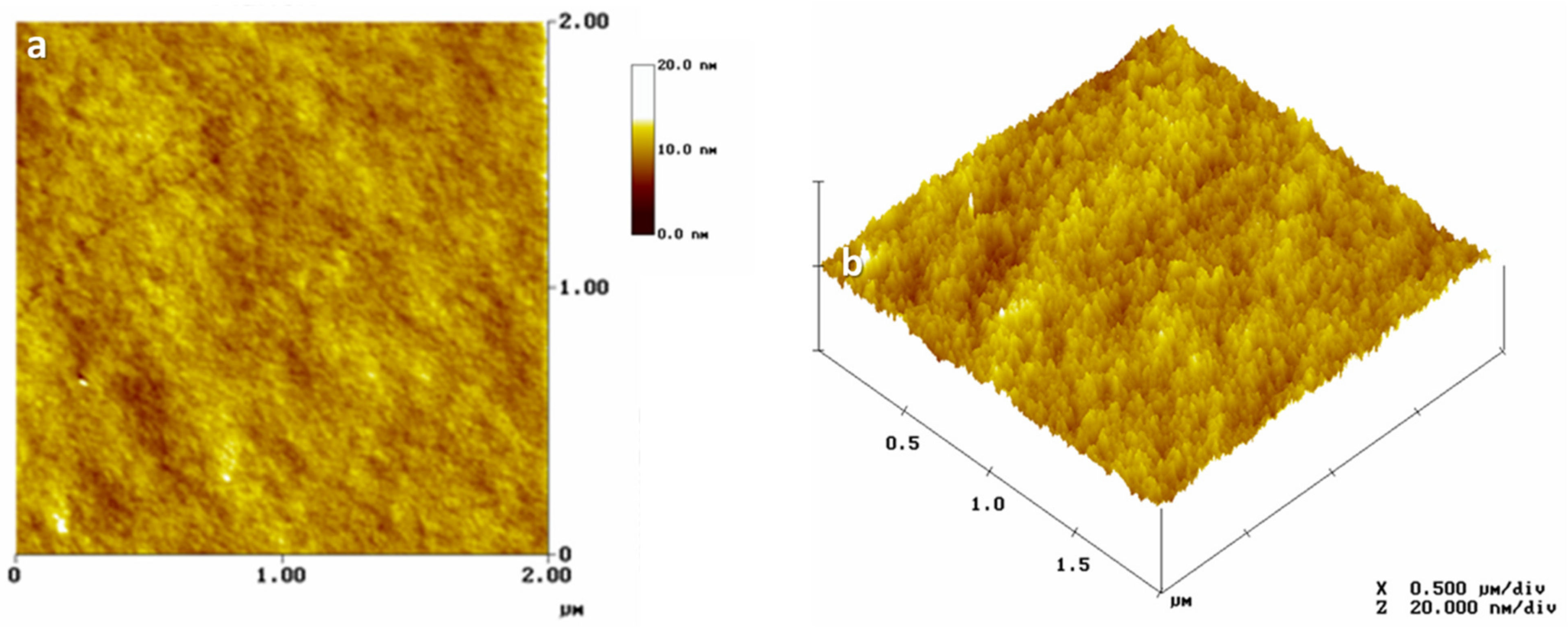 Nanomaterials 11 01896 g006