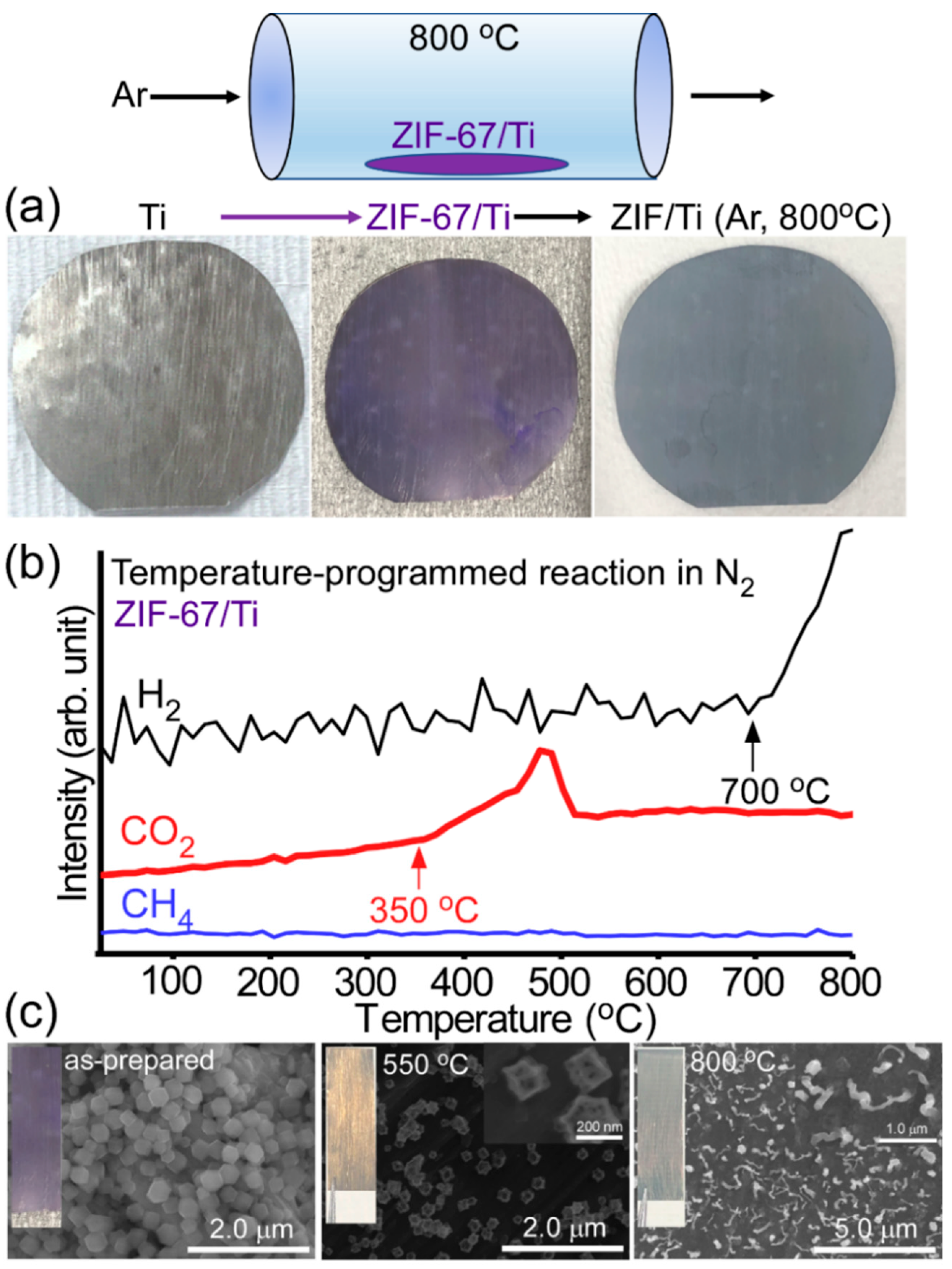 Nanomaterials | Free Full-Text | Photocatalytic and Electrocatalytic  Properties of Cu-Loaded ZIF-67-Derivatized Bean Sprout-Like Co-TiO2/Ti  Nanostructures