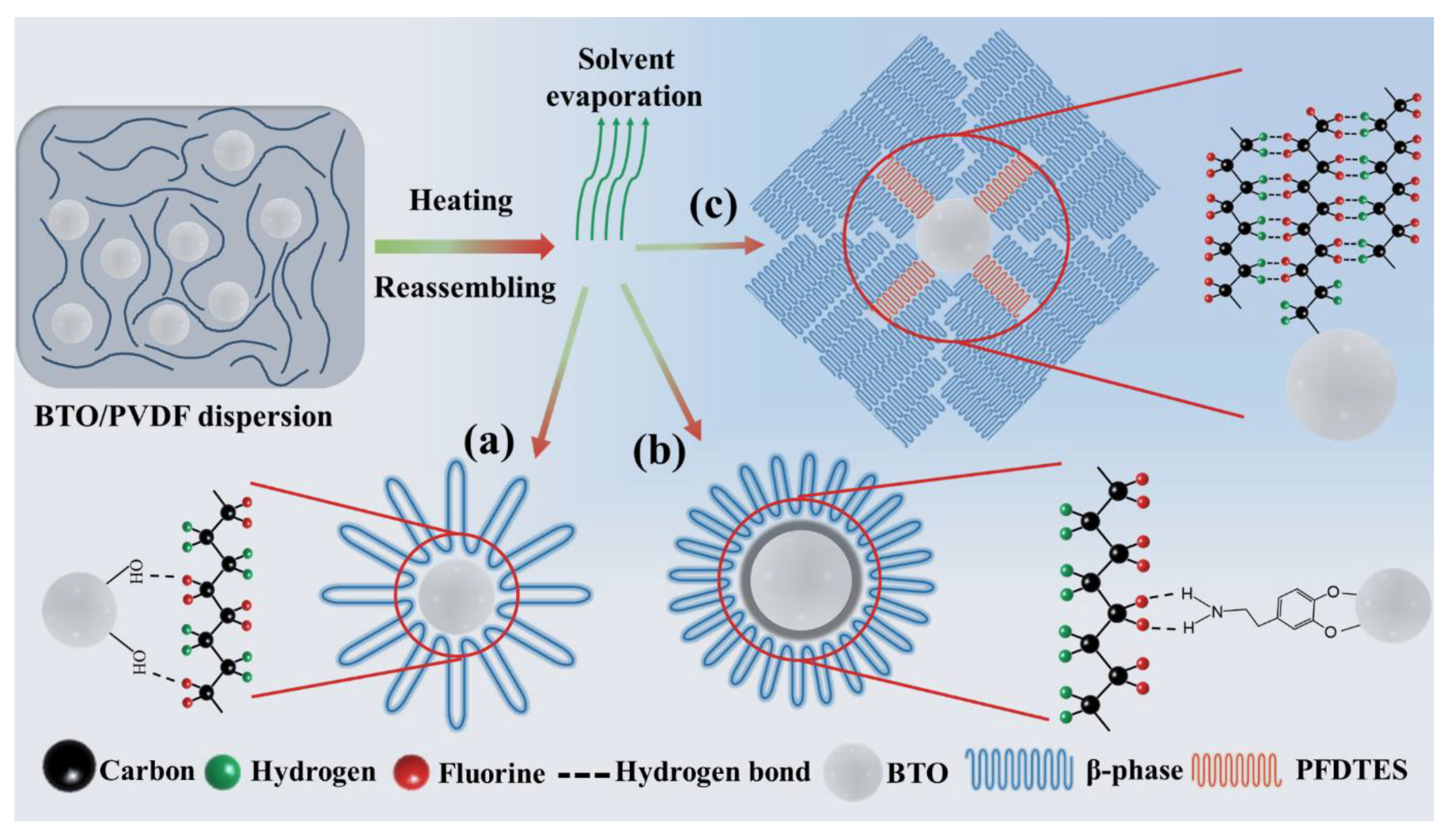 Nanomaterials 11 01908 g006