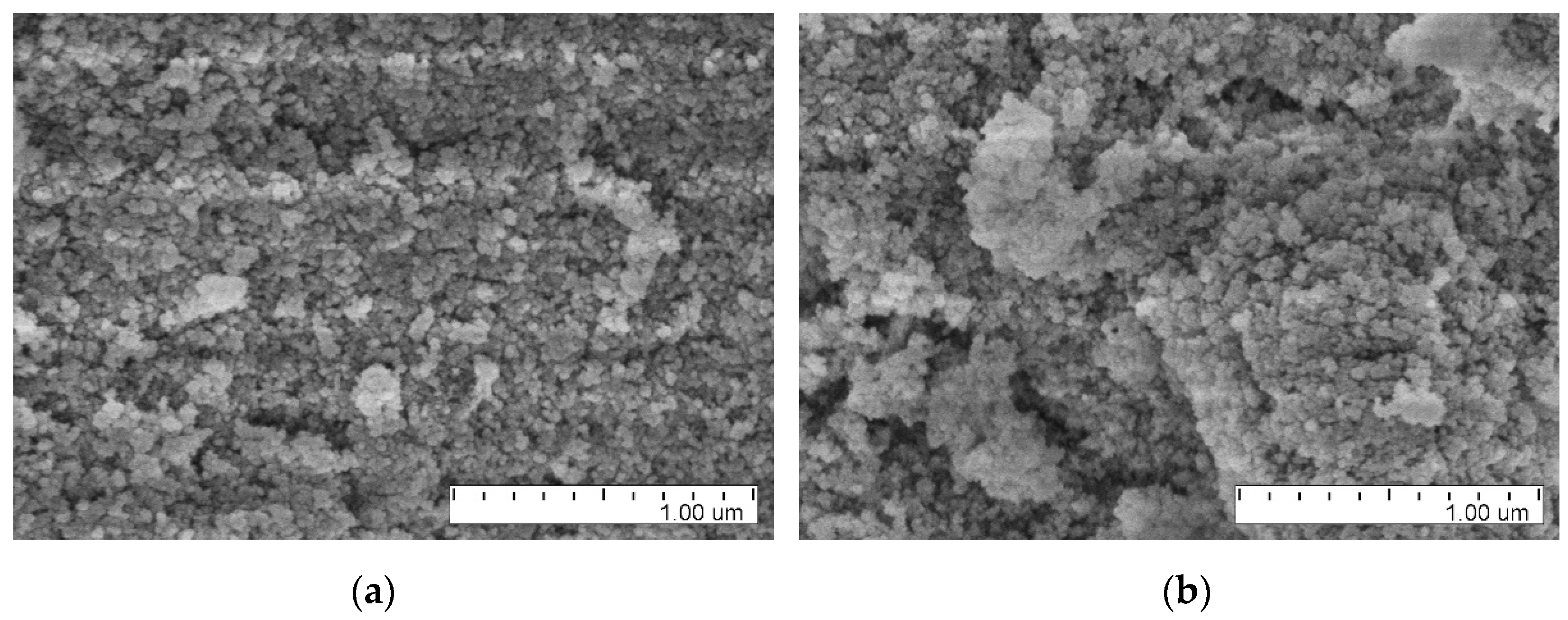Nanomaterials 11 01945 g001a