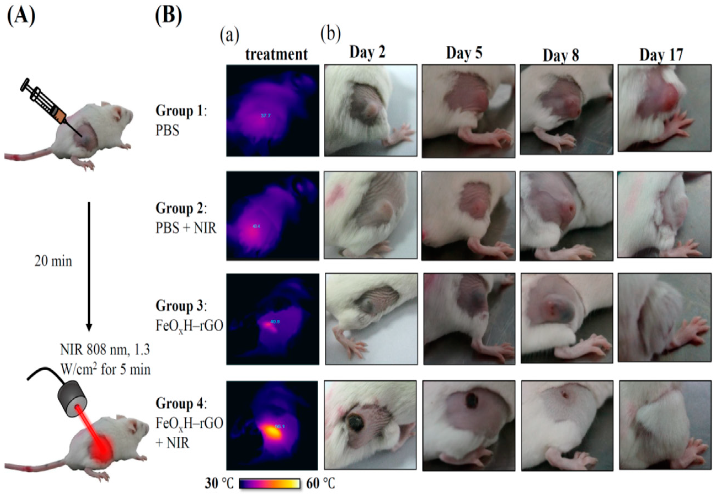 Nanomaterials 11 01947 g005