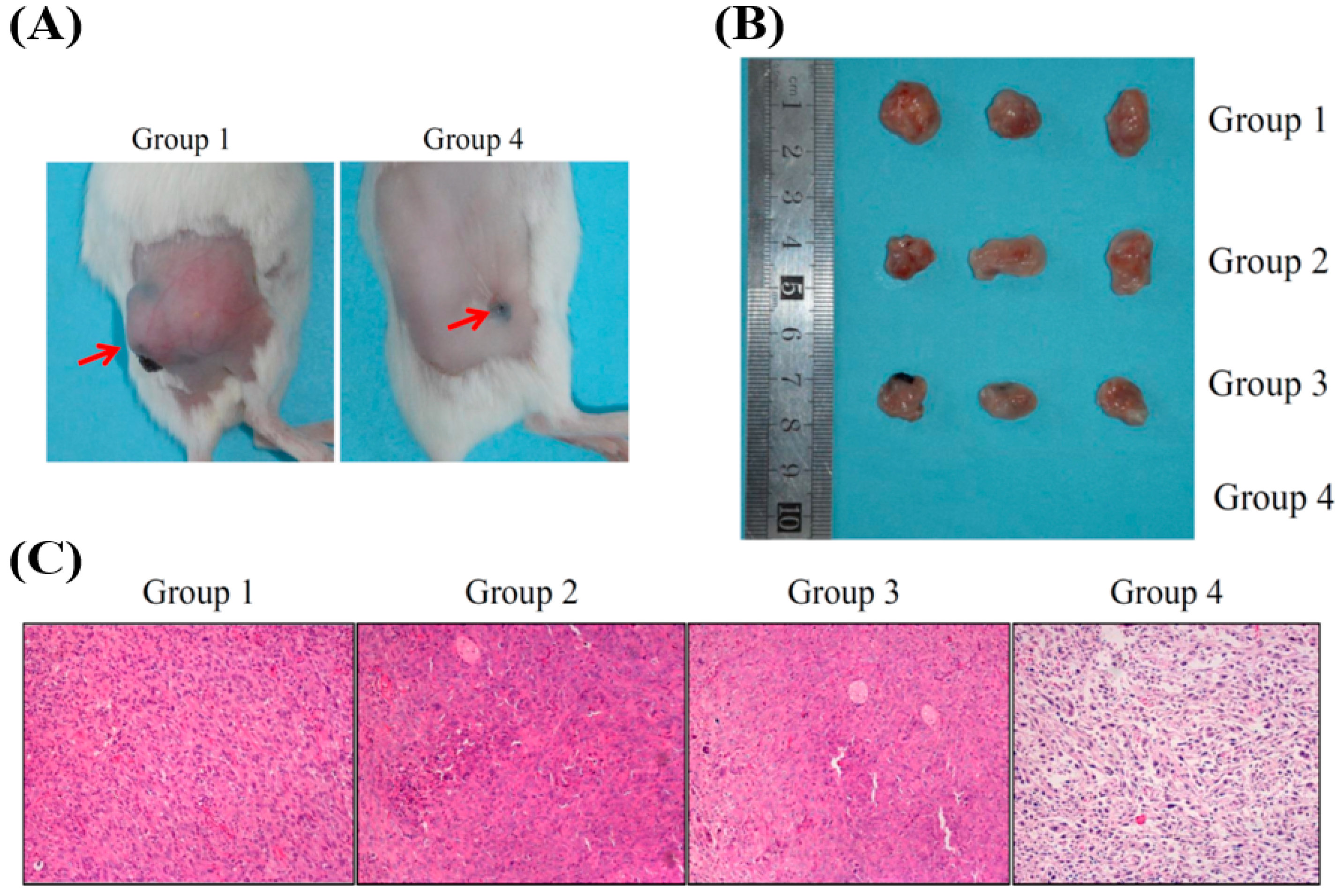 Nanomaterials 11 01947 g006
