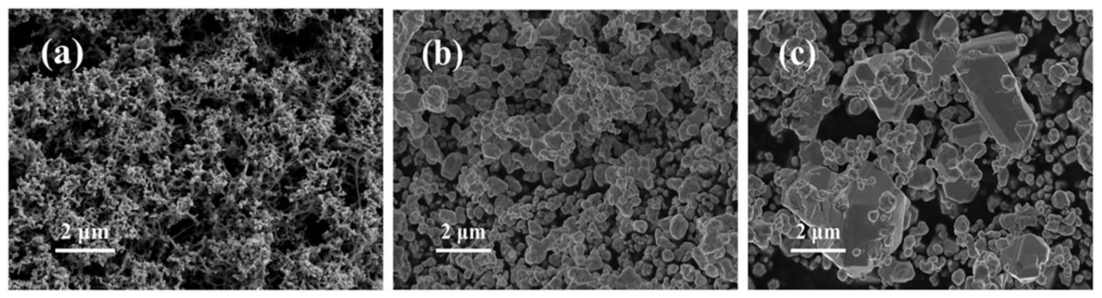 Nanomaterials 11 01962 g002