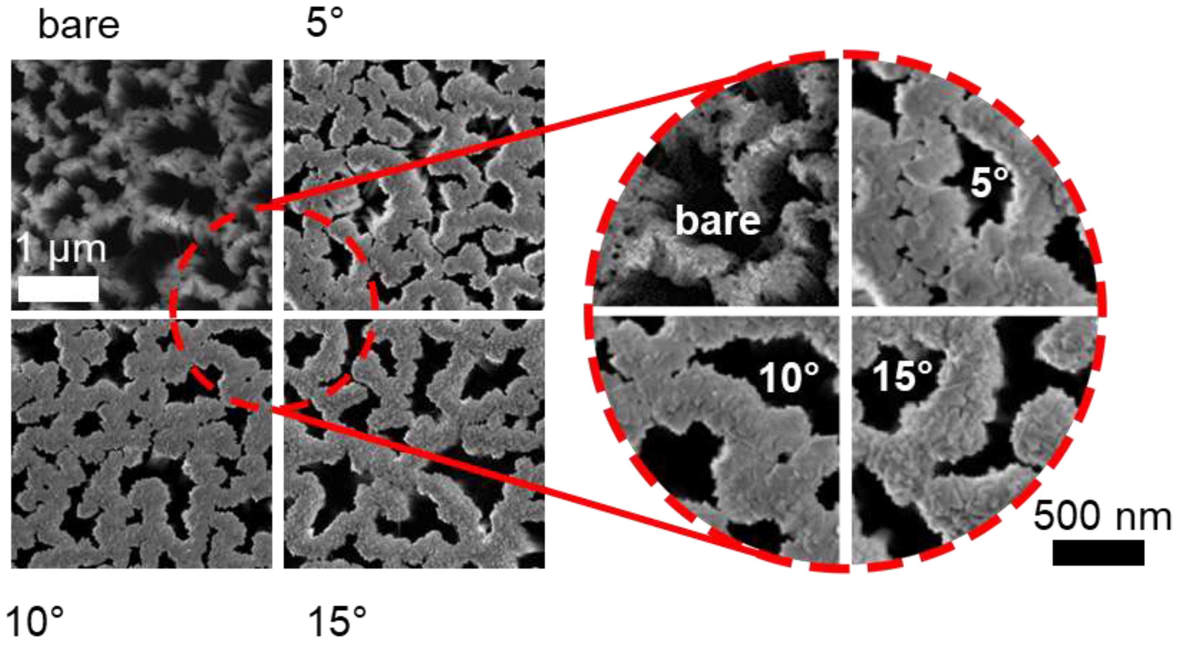 Nanomaterials 11 01972 g002 Nanomaterials 11 01972 g002