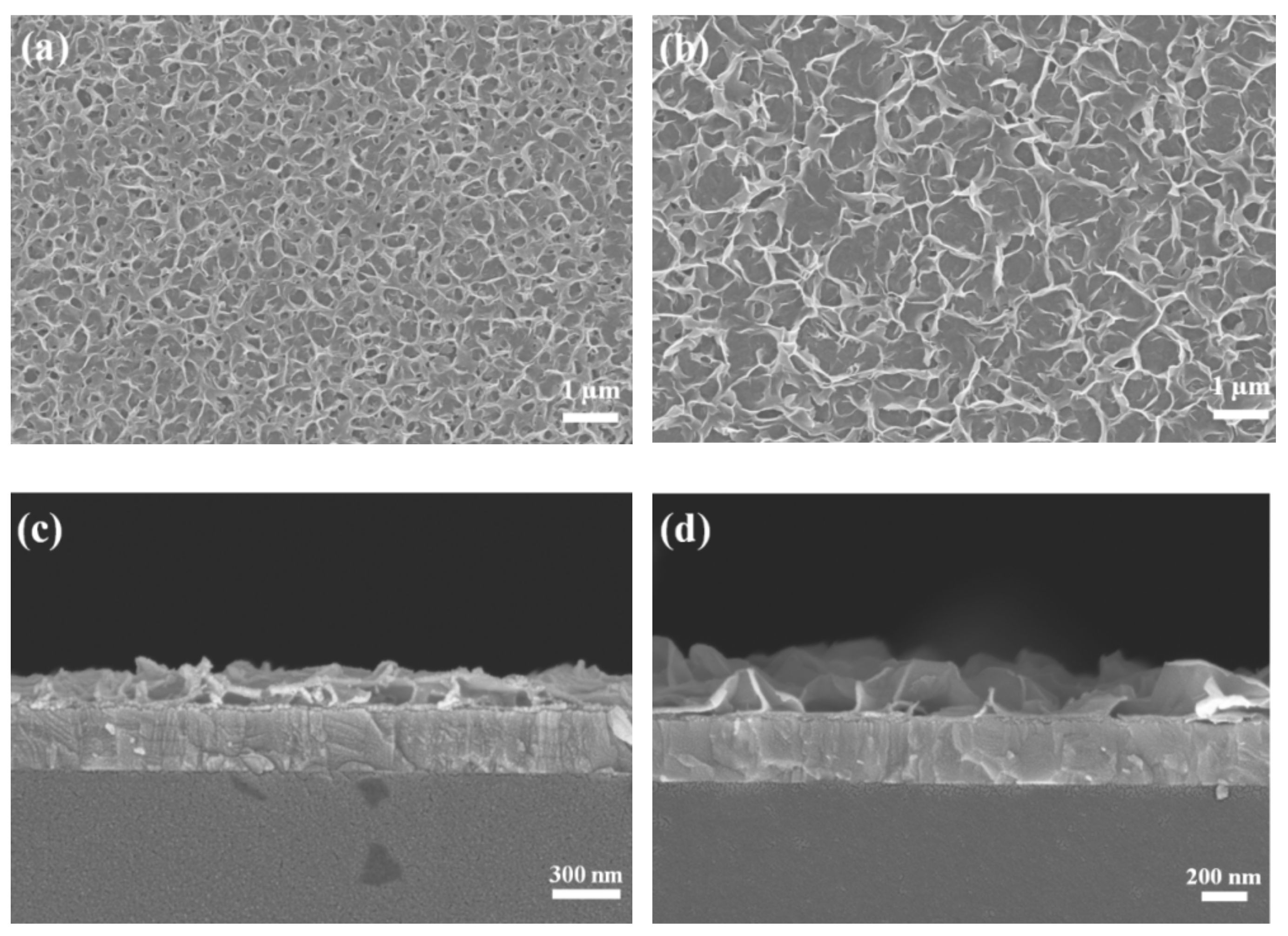Nanomaterials 11 01980 g004