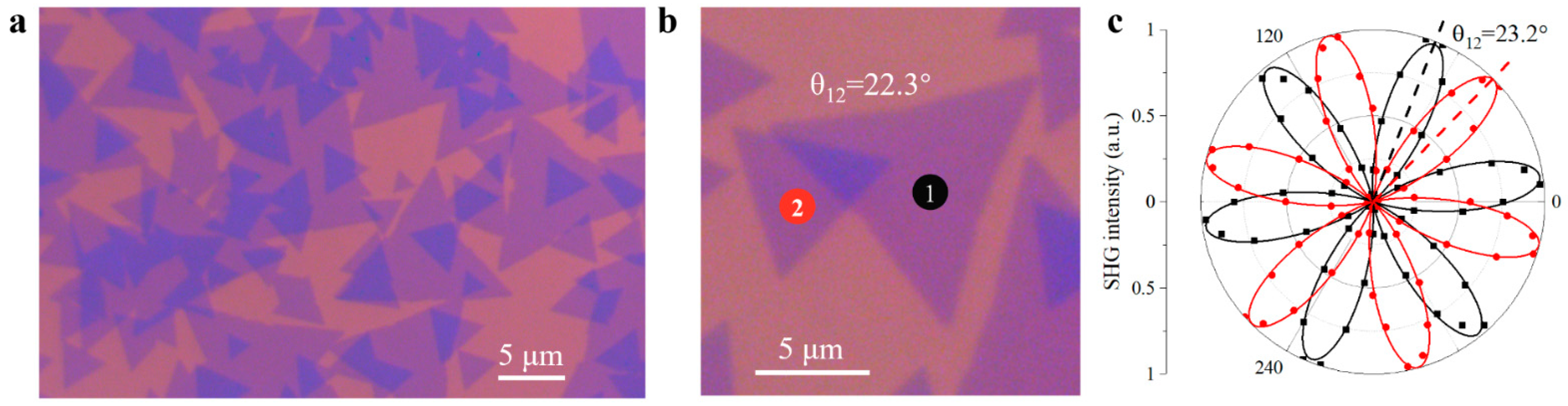 Nanomaterials 11 01994 g001