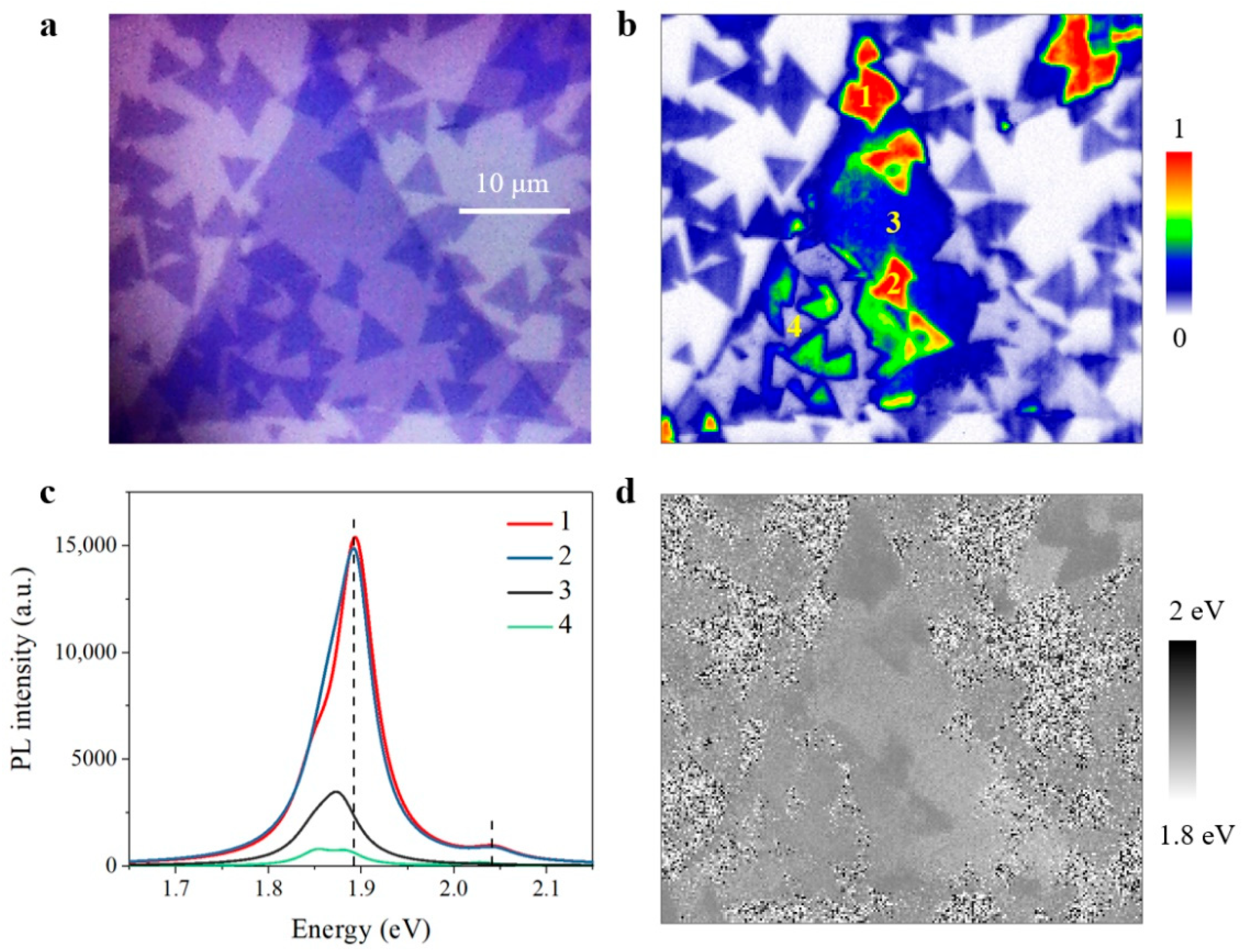 Nanomaterials 11 01994 g007