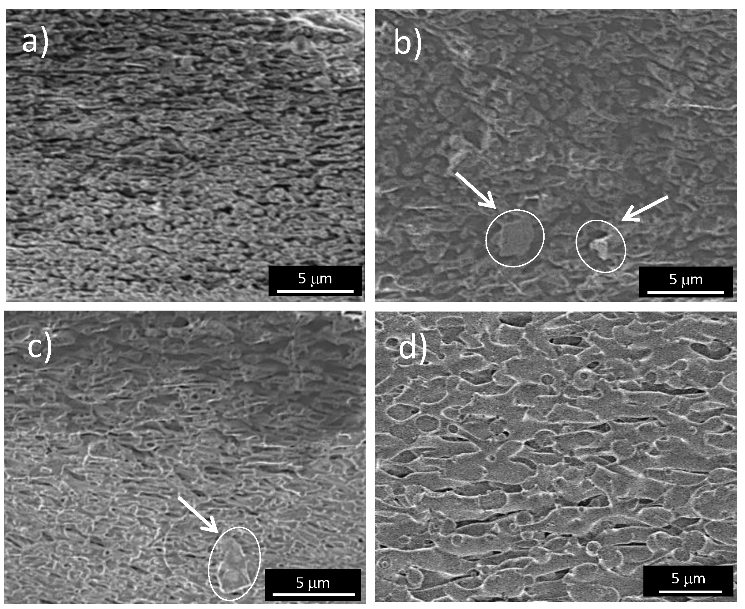 Nanomaterials 11 01996 g003