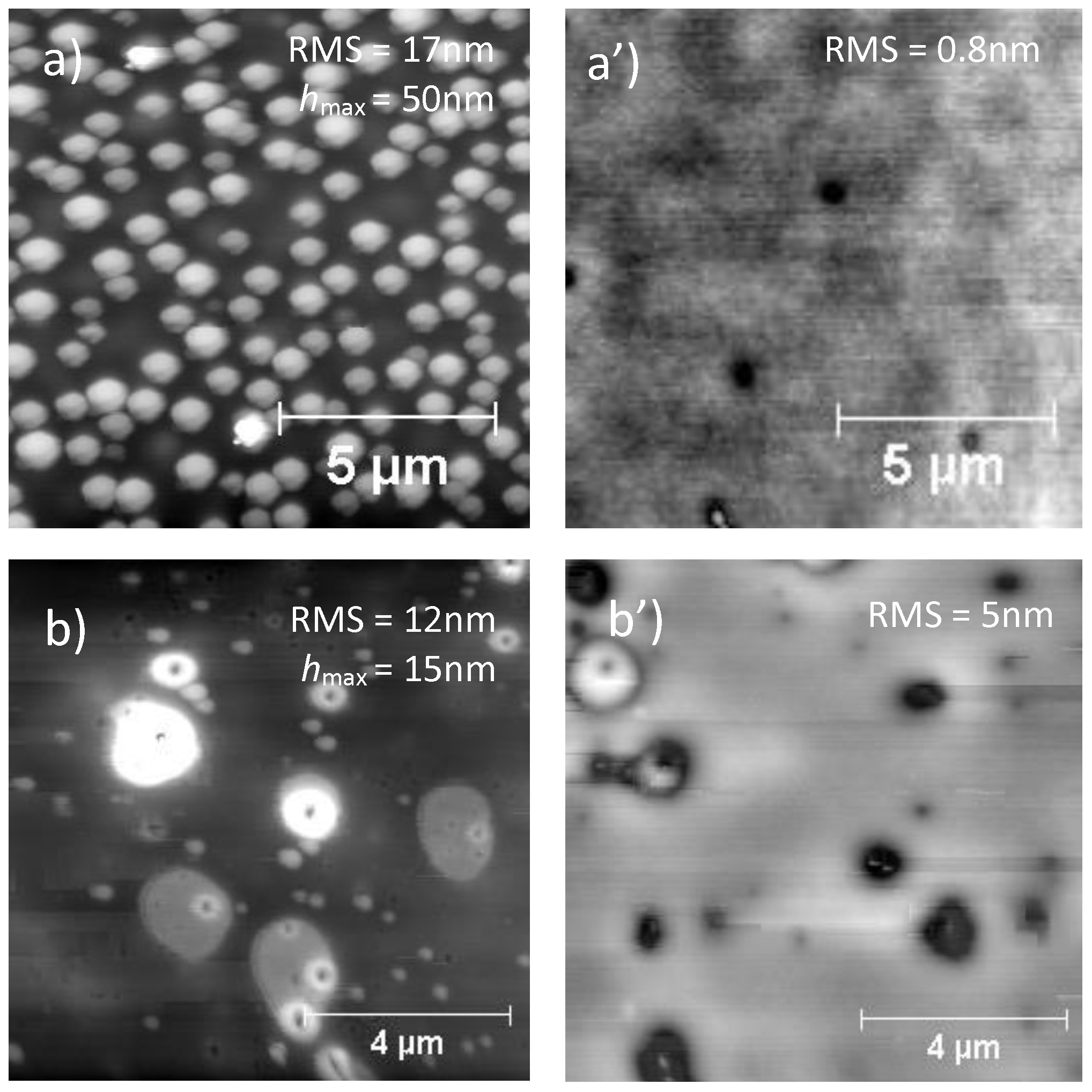 Nanomaterials 11 01996 g005
