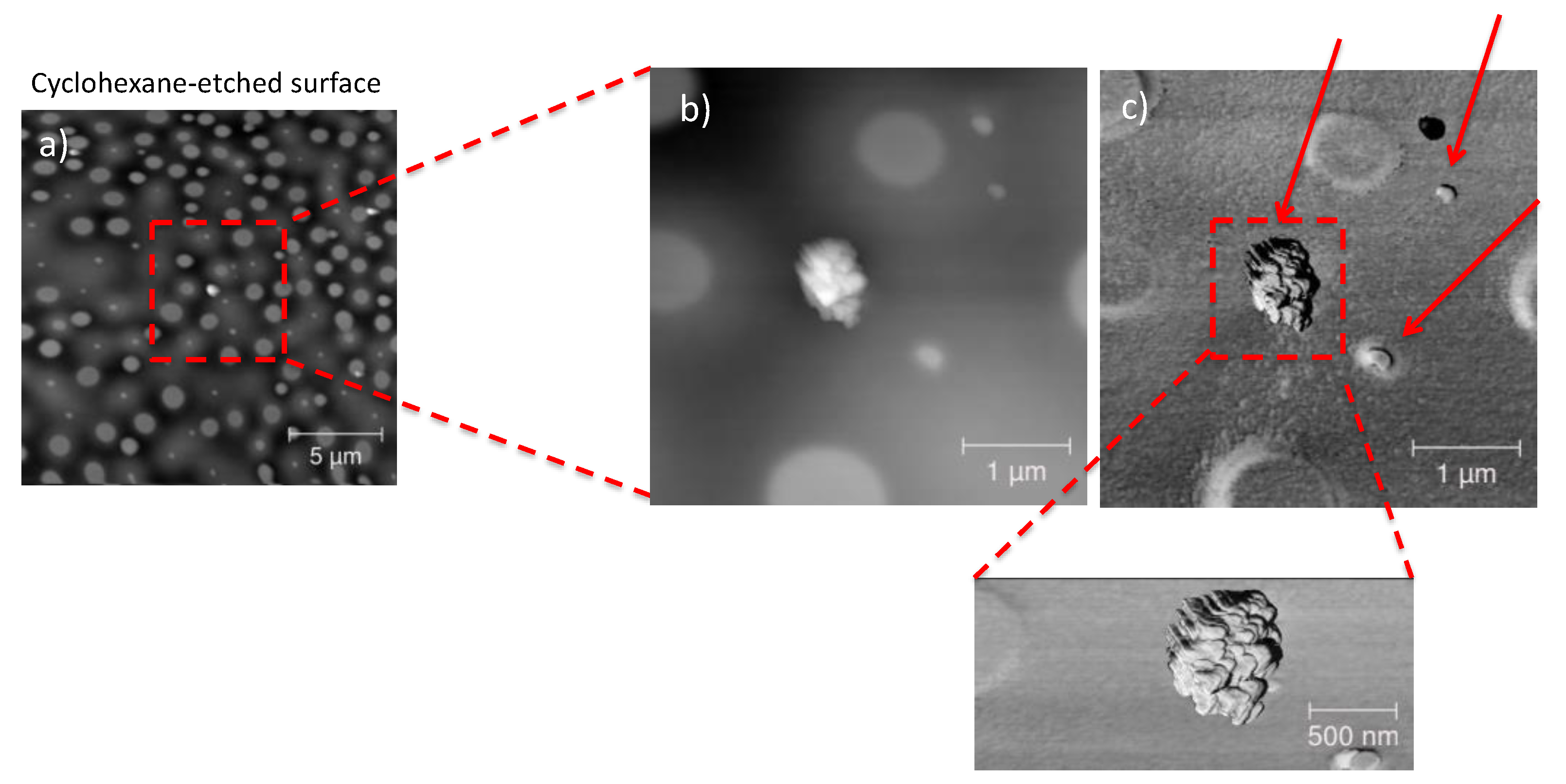 Nanomaterials 11 01996 g008