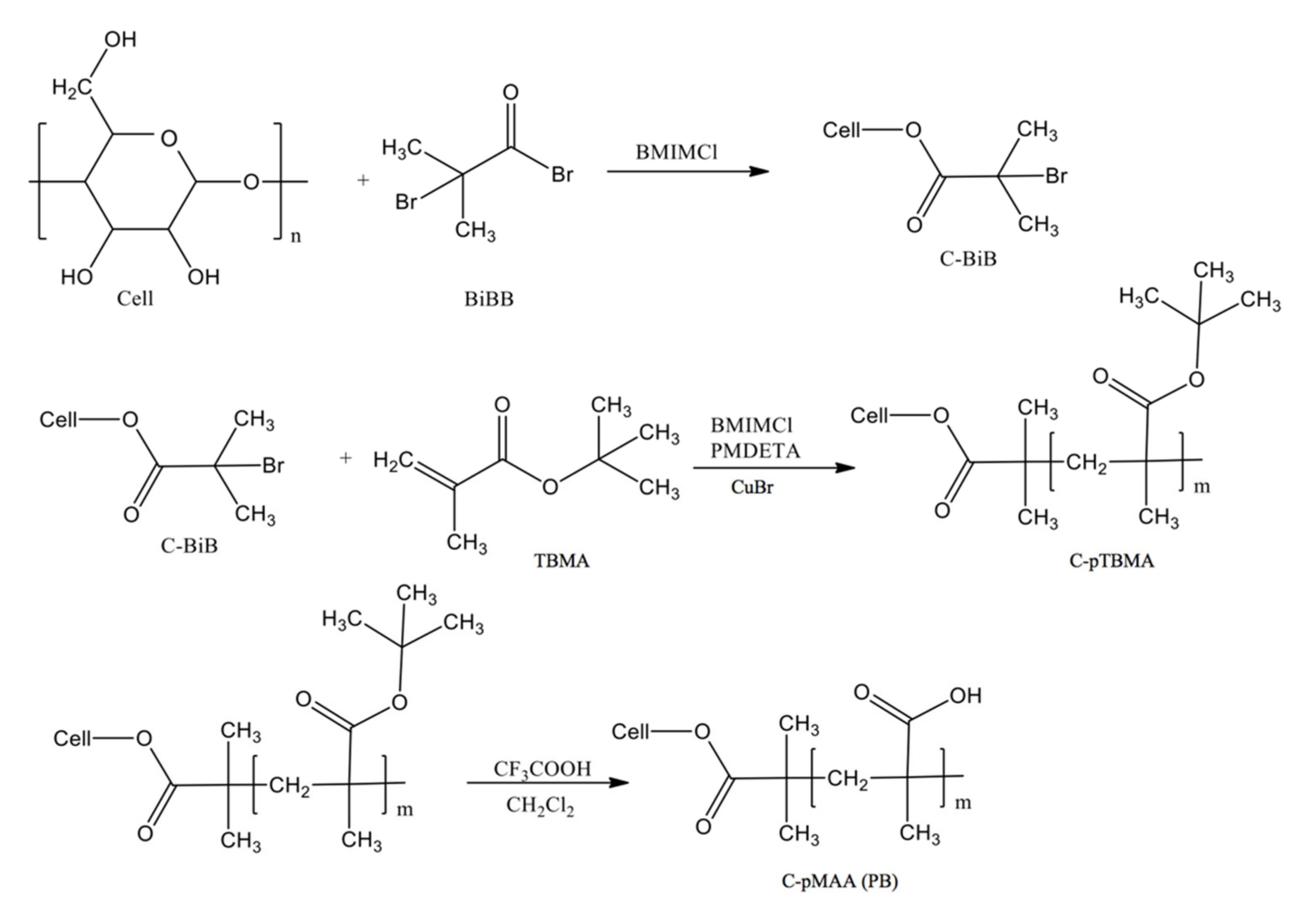 Nanomaterials | Free Full-Text | Poly(methacrylic Acid)-Cellulose ...