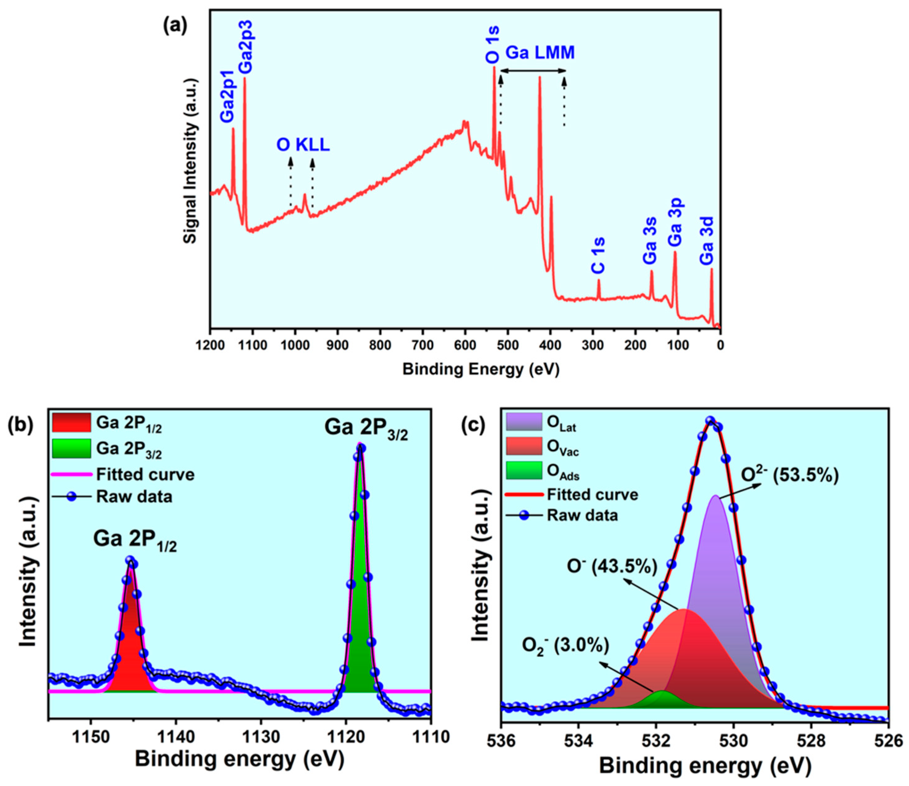 Nanomaterials 11 02013 g004 Nanomaterials 11 02013 g004