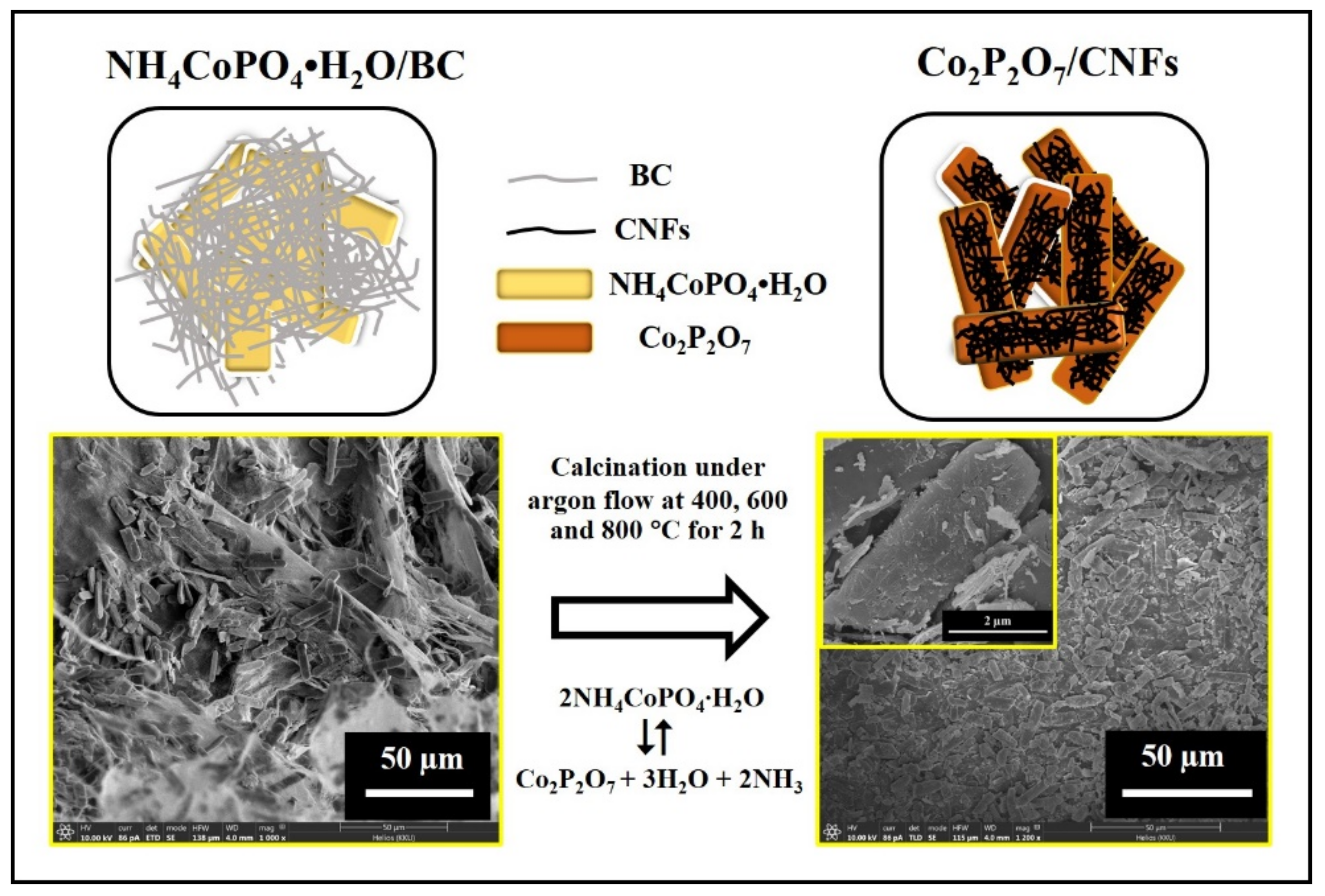Nanomaterials 11 02015 g002