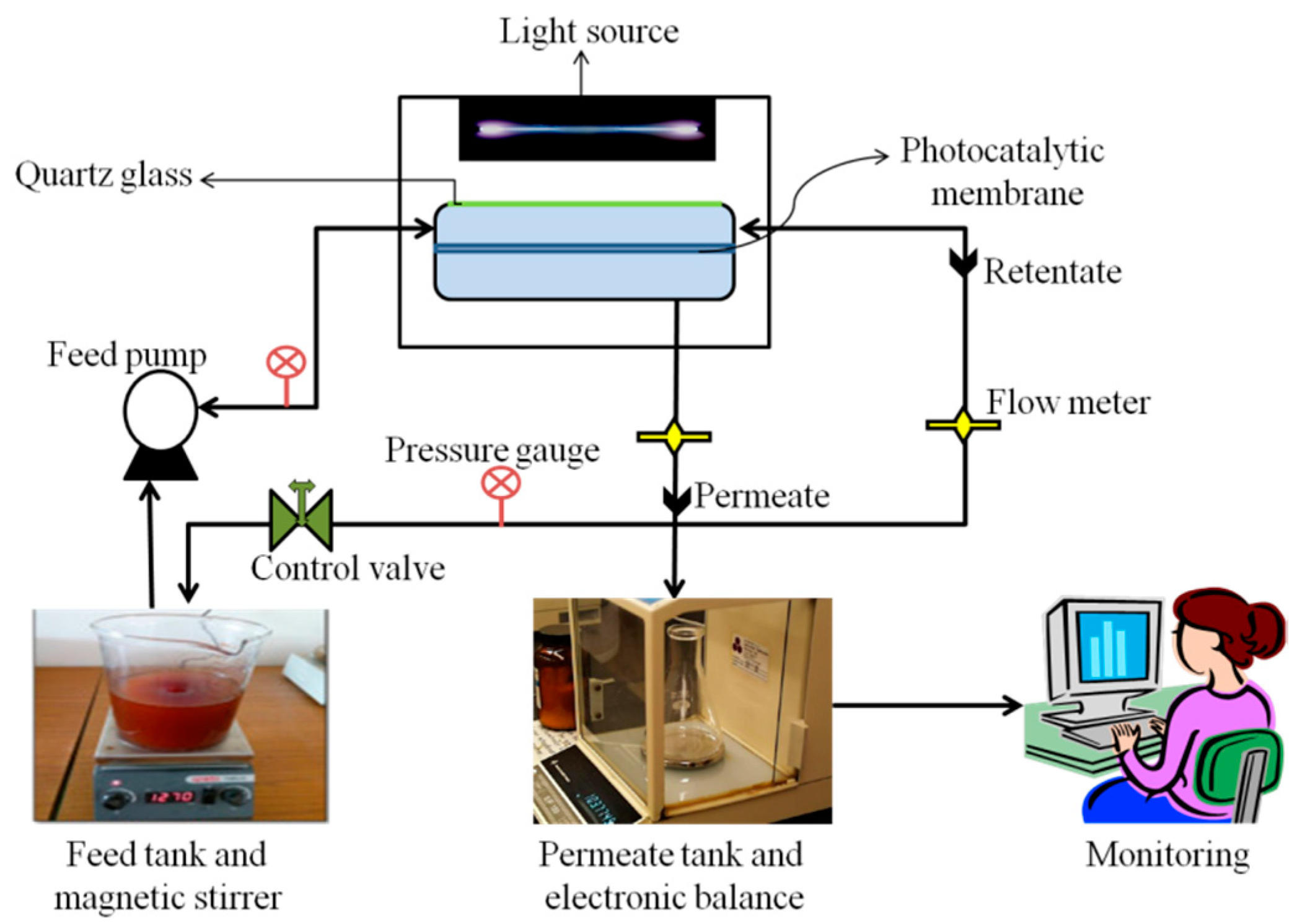 Nanomaterials 11 02021 g002