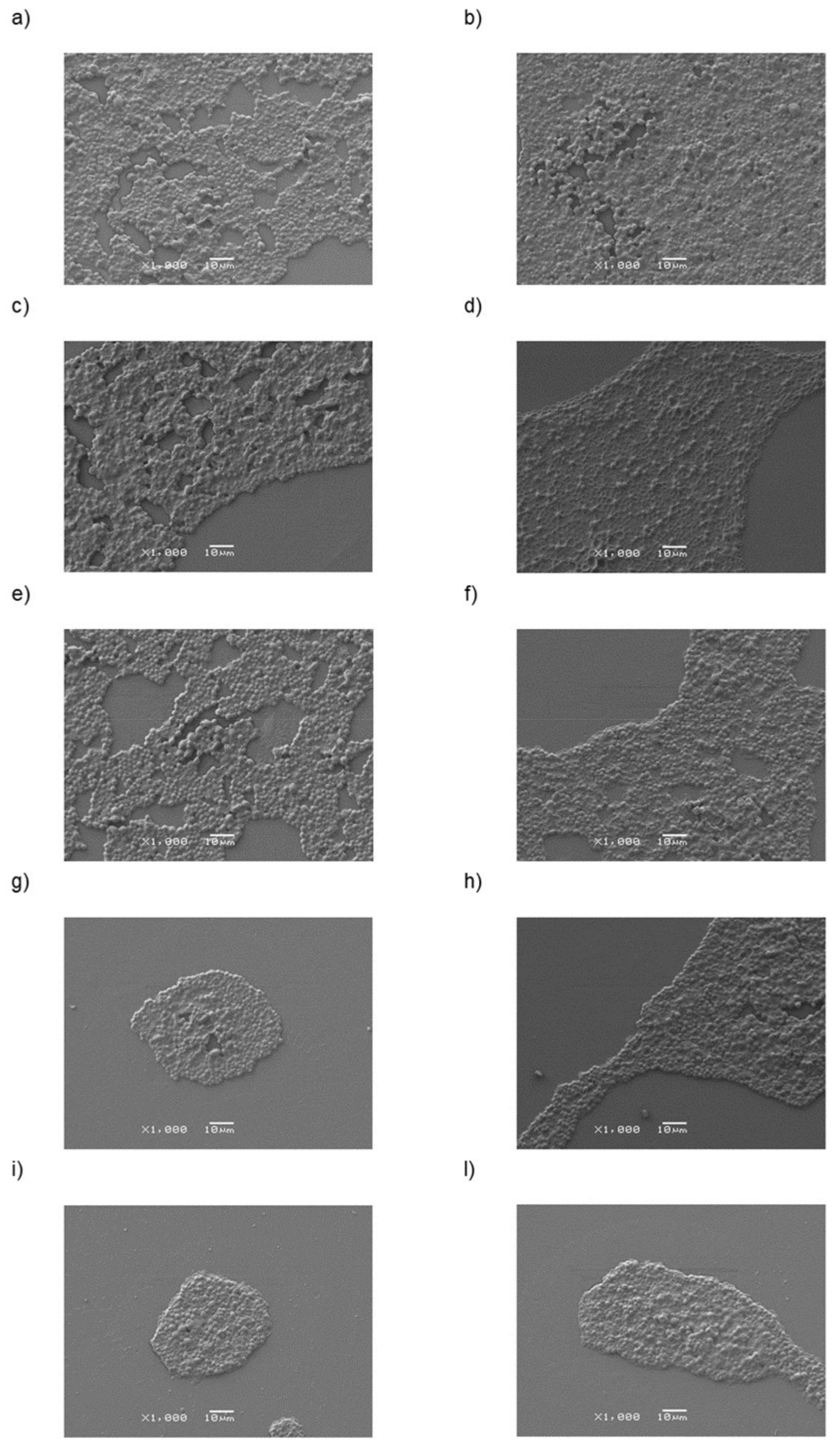 Nanomaterials 11 02027 g007