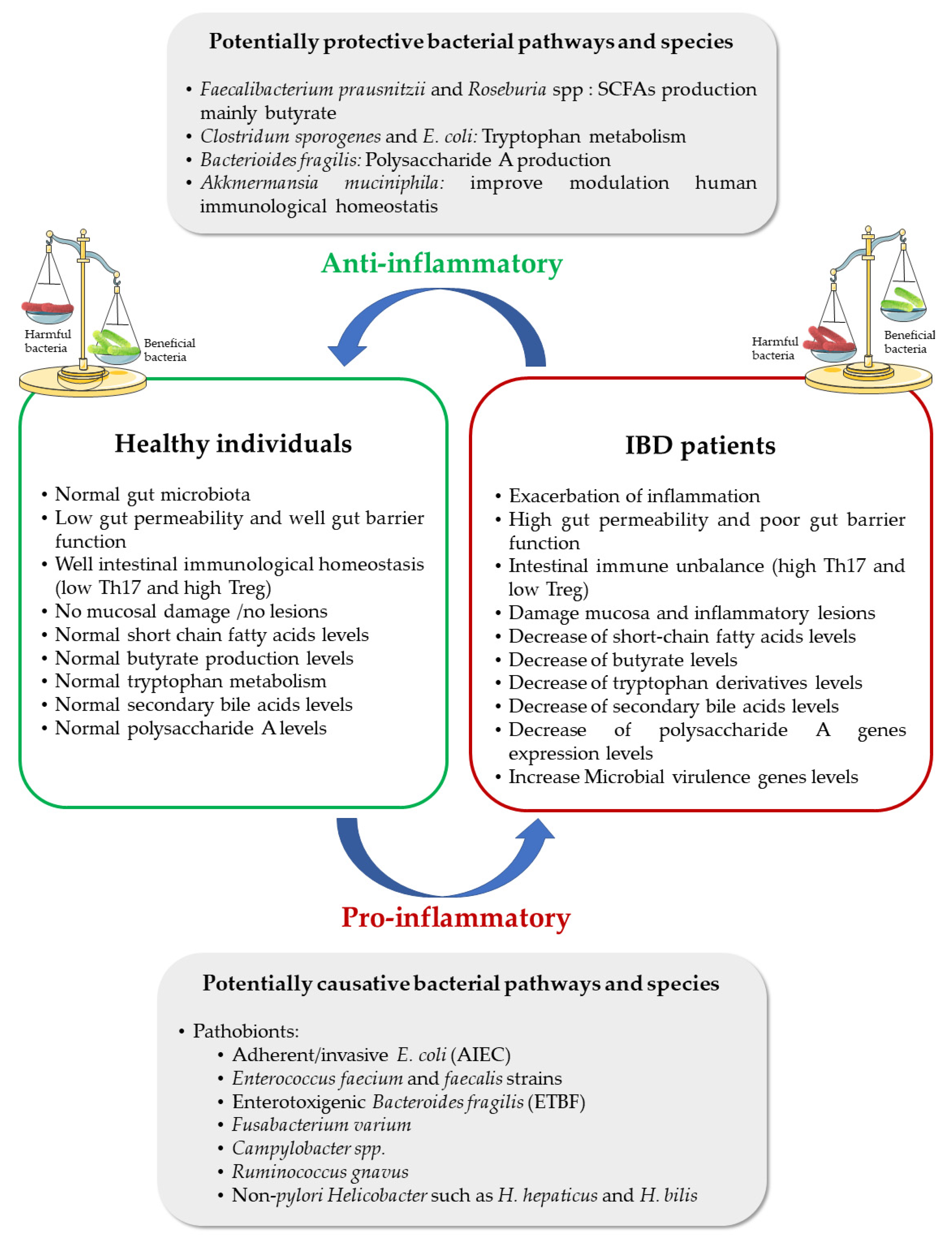 Nanomaterials 11 02035 g001