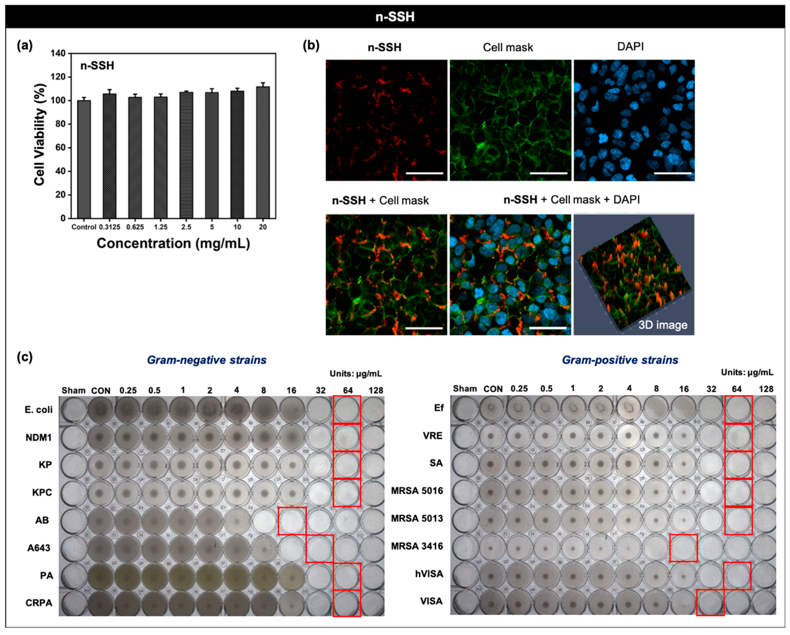 Nanomaterials 11 02036 g005