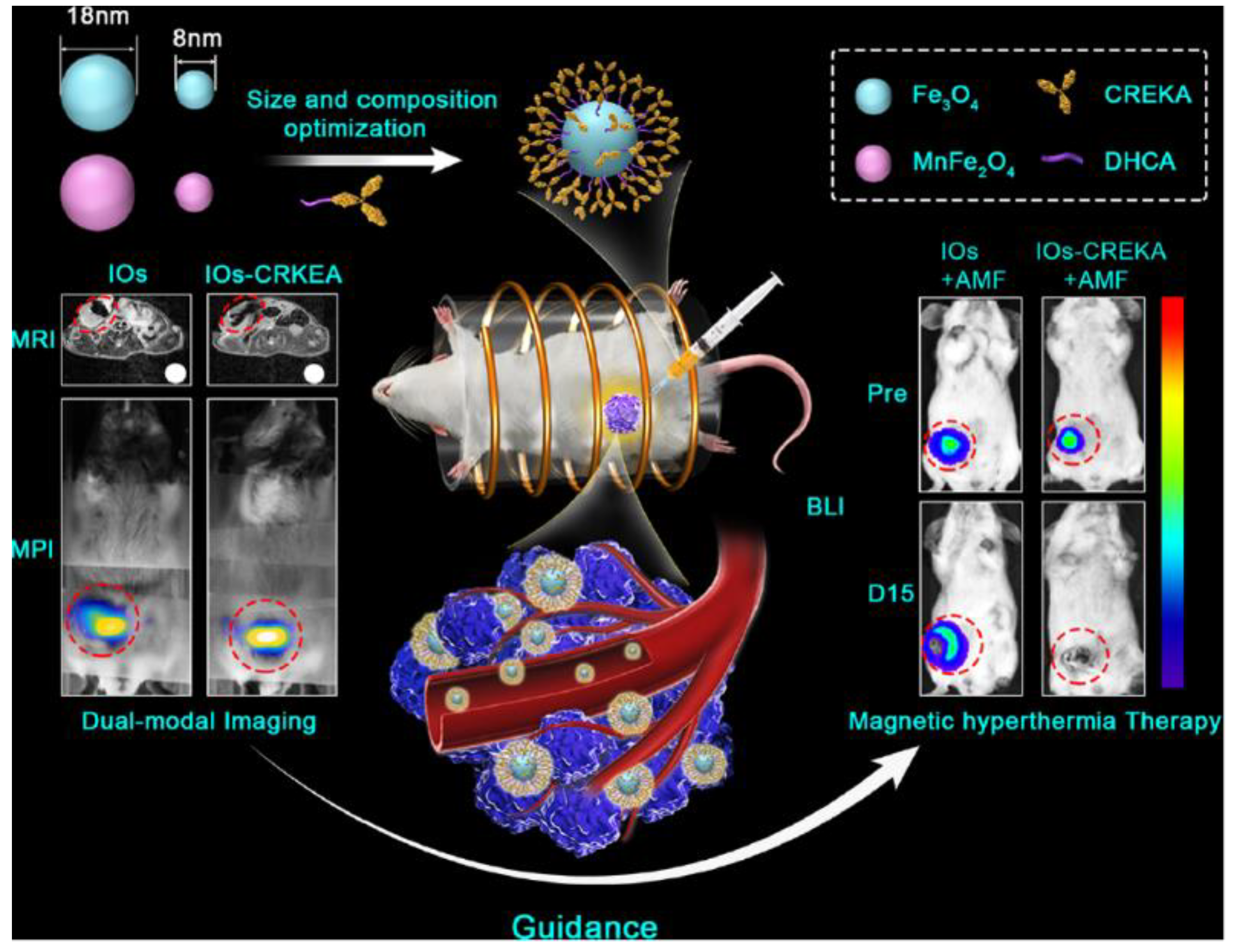 Nanomaterials 11 02073 g002